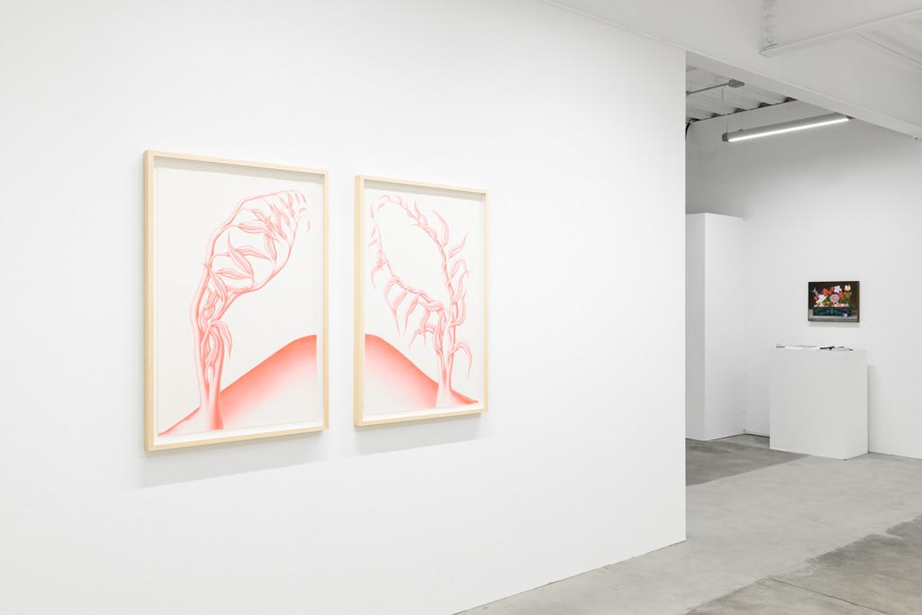 Devra Fox - "In Orbit"