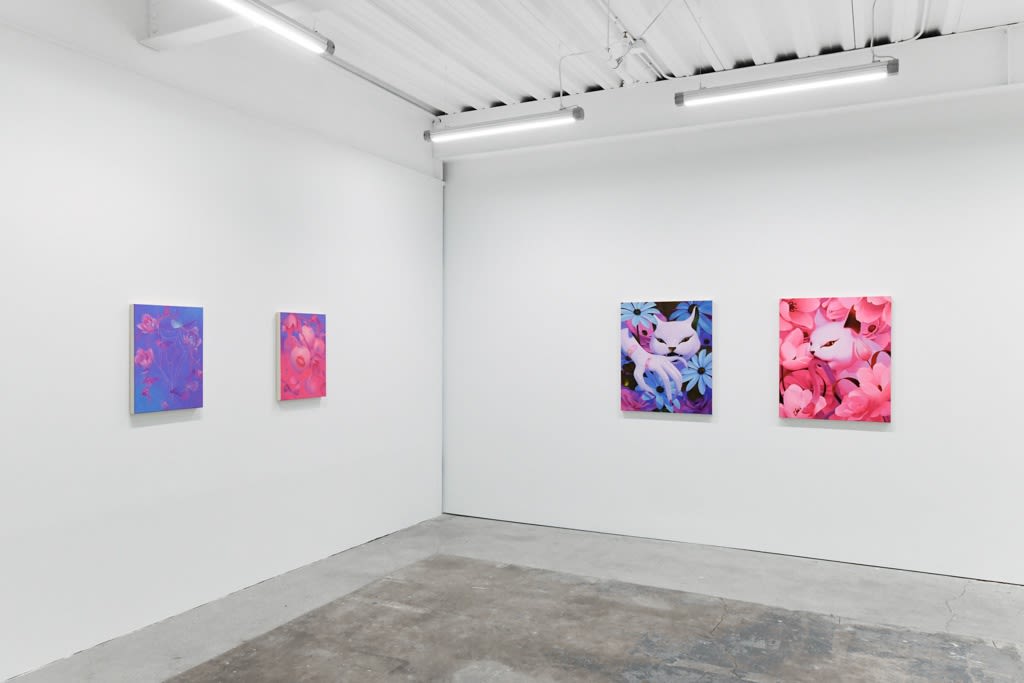 installation view of Megan Ellen MacDonald's exhibition "What Doesn't Kill You" at Hashimoto Contemporary San Francisco. From left to right: "Blue Period," "Soft Edge, Sharp Curve," "Bite the Hand," and "Bad Kitty"