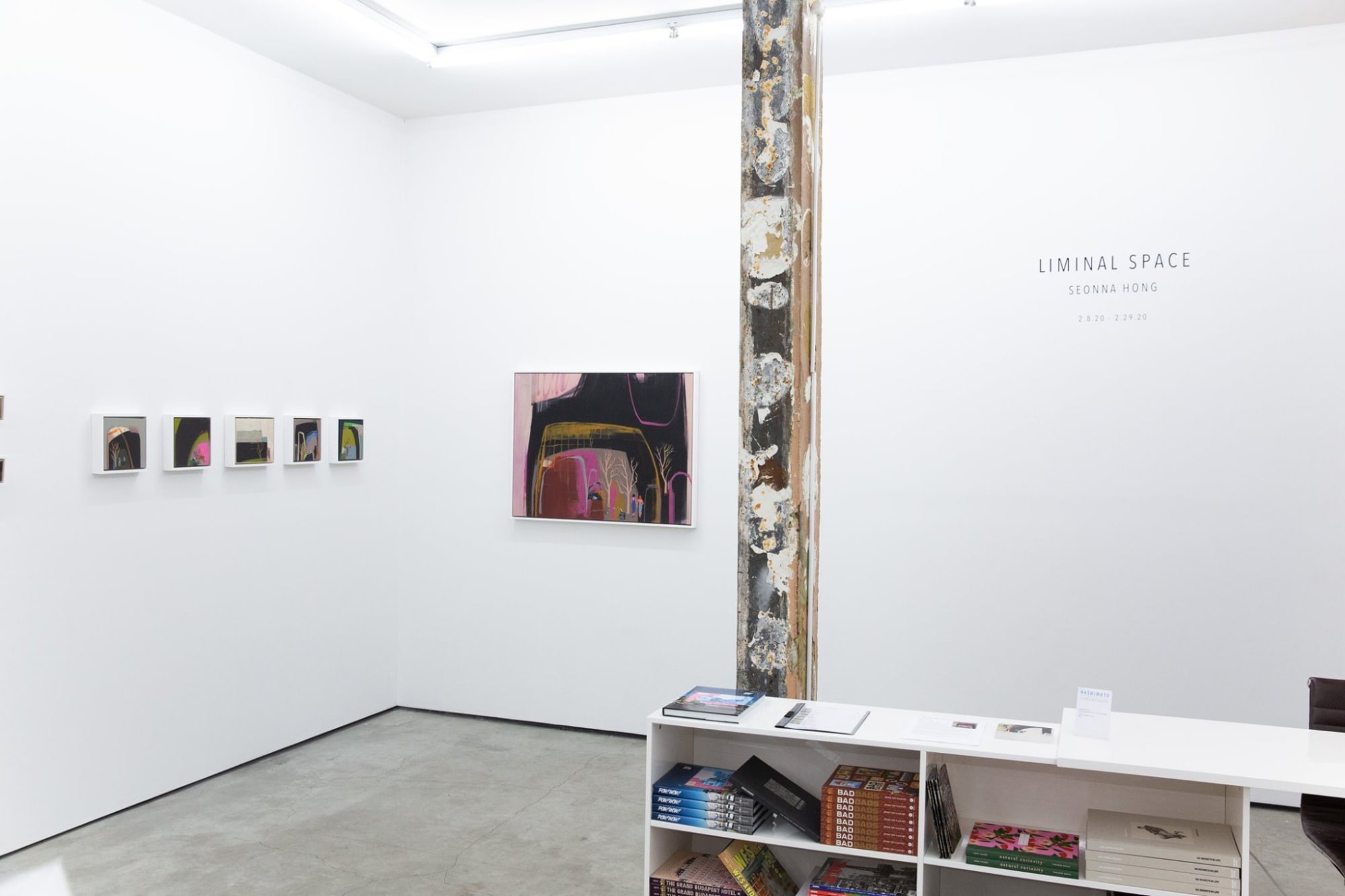 Seonna Hong installation image