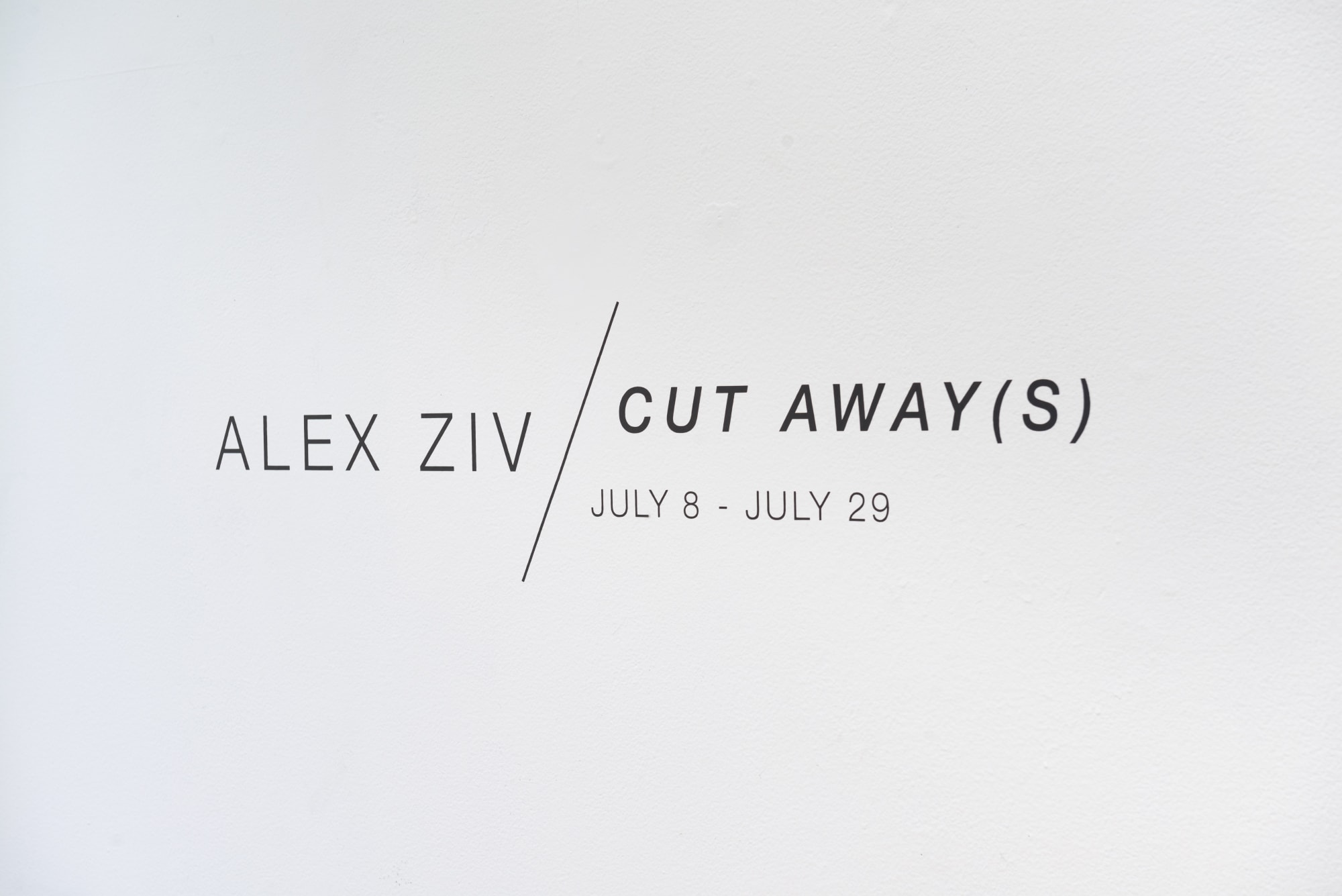 Alex Ziv installation view