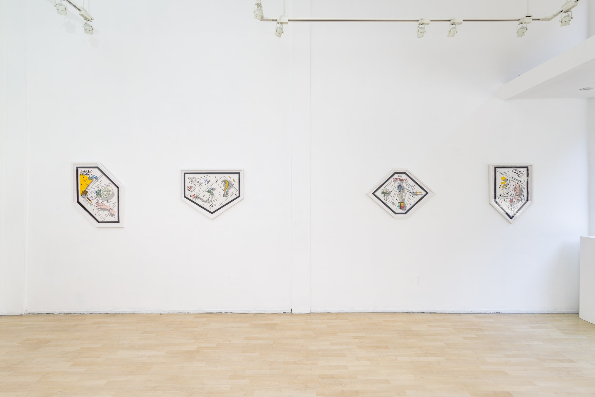 Alex Ziv installation view
