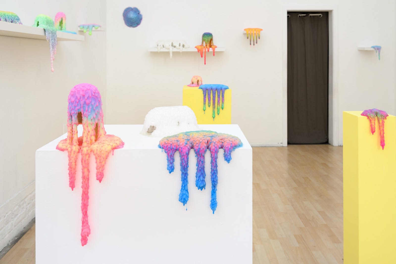 Installation image of Dan Lam's exhibition "Sweet Meats" at Hashimoto Contemporary SF