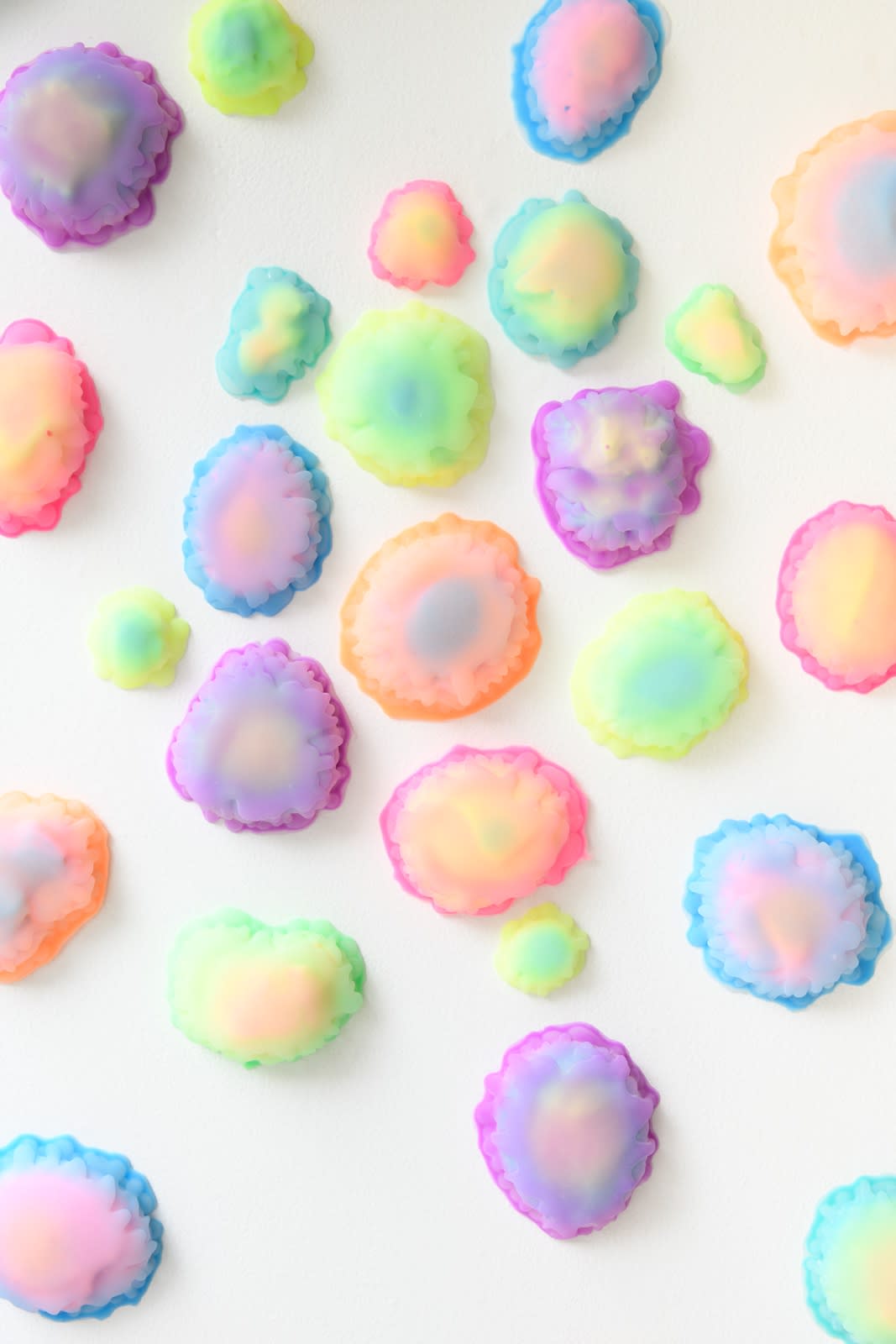 Installation image of Dan Lam's exhibition "Sweet Meats" at Hashimoto Contemporary SF