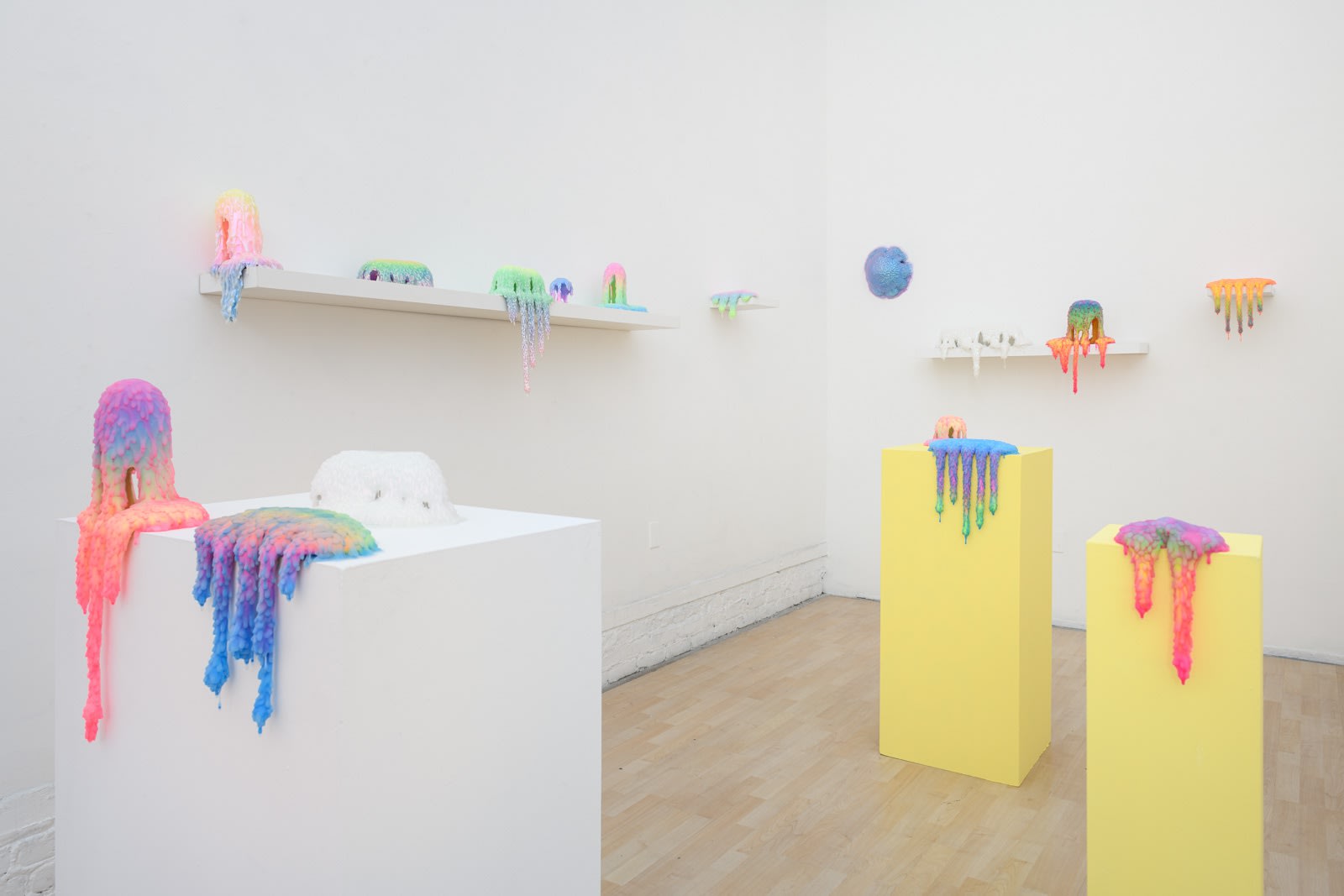Installation image of Dan Lam's exhibition "Sweet Meats" at Hashimoto Contemporary SF