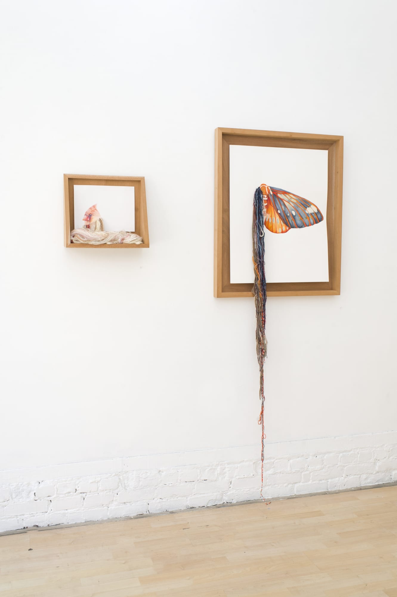 Installation image from "Lush Life" at Hashimoto Contemporary SF