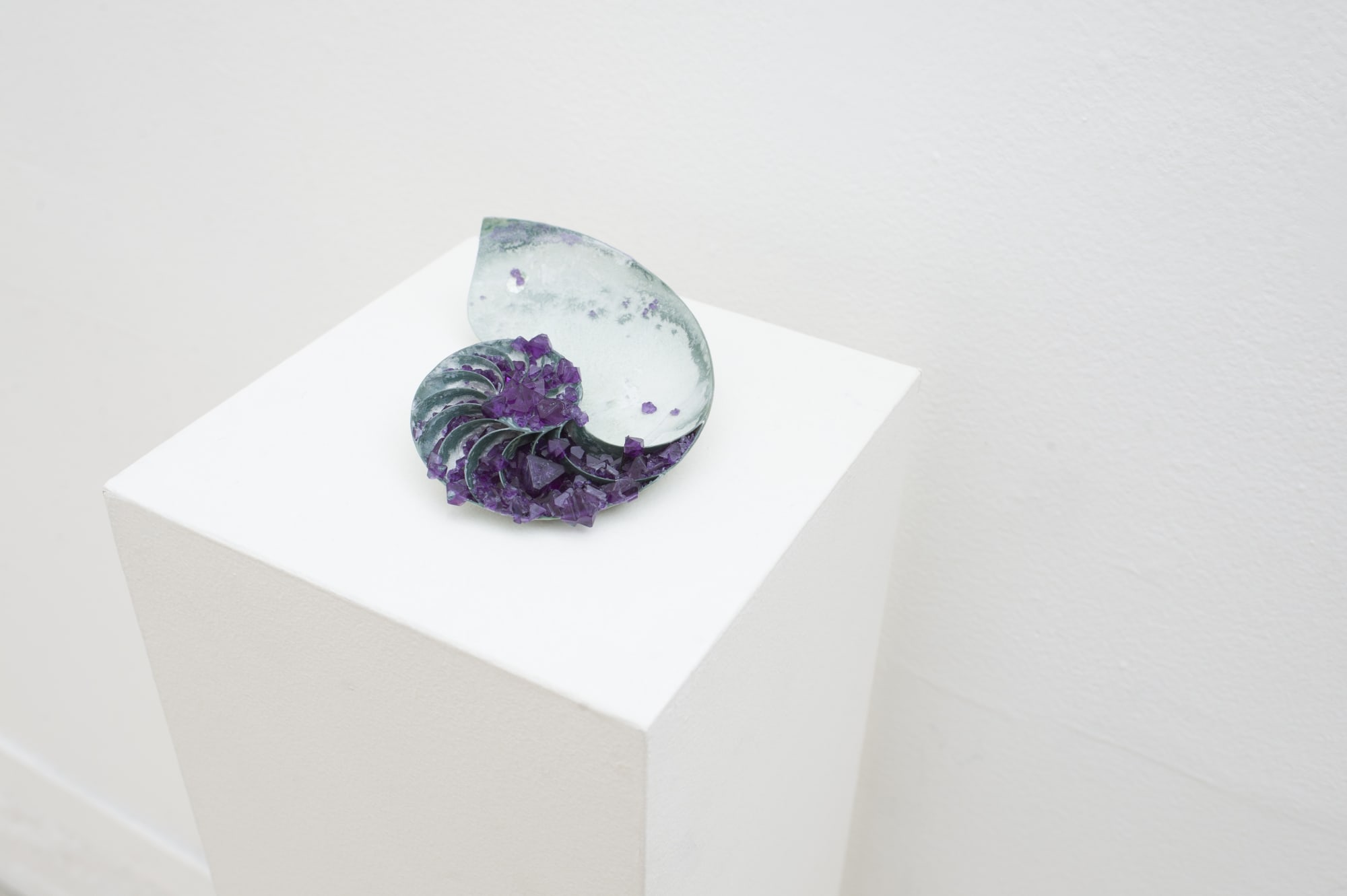 Installation image from "Lush Life" at Hashimoto Contemporary SF