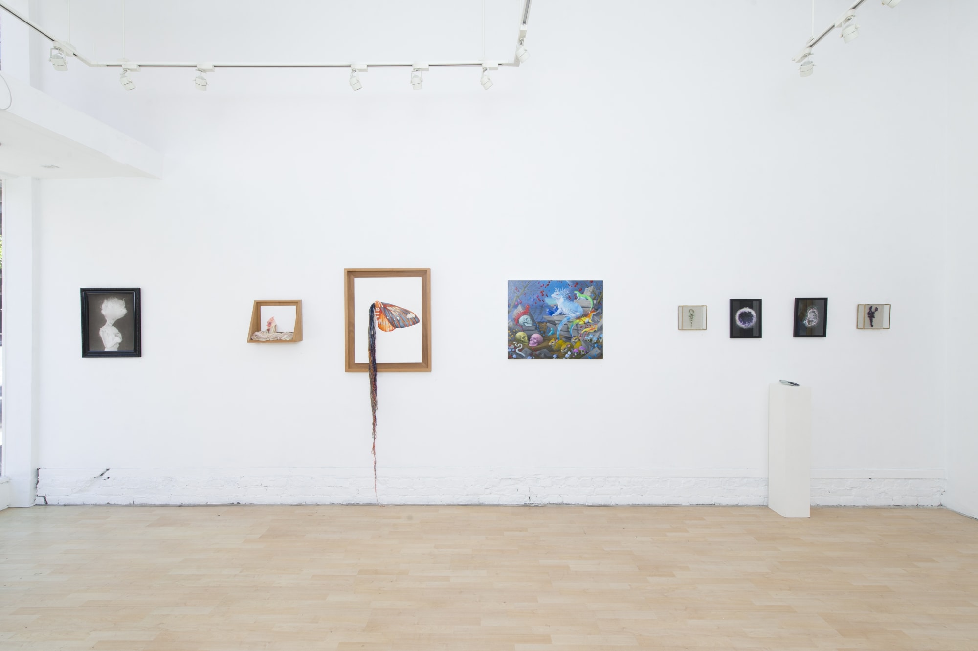 Installation image from "Lush Life" at Hashimoto Contemporary SF