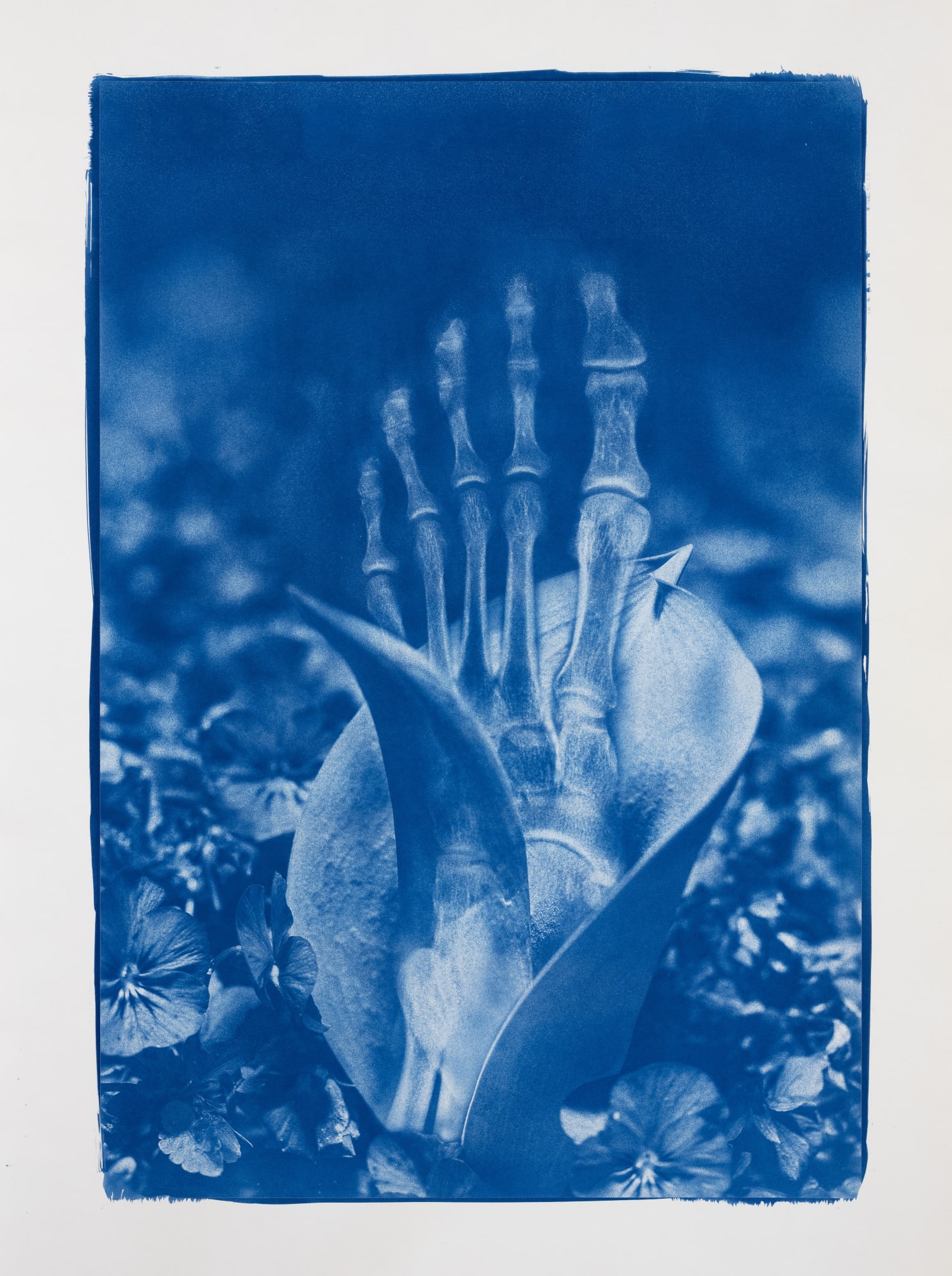 Hu Weiyi, Blue Bones No.5, 2020