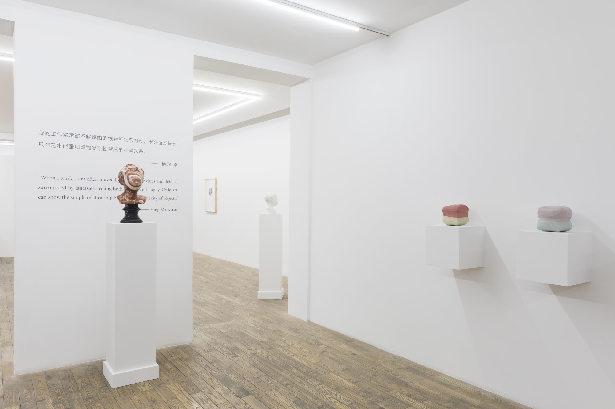 Yang Maoyuan | Backup Copies of Memory