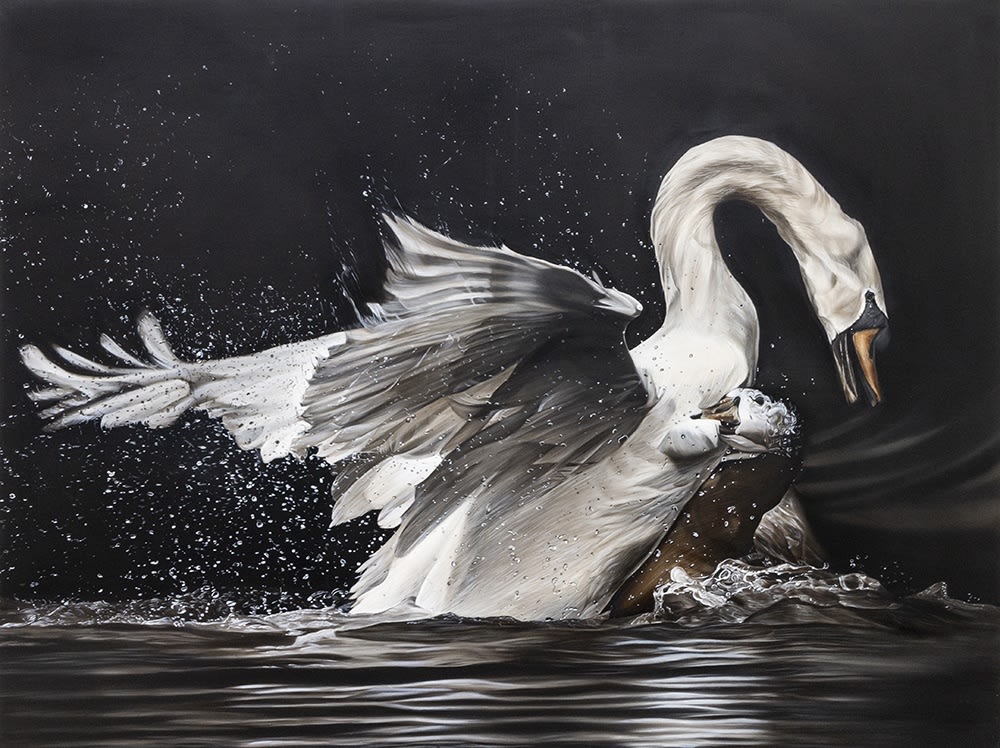 Rachel Sharpe | Language of Limitation