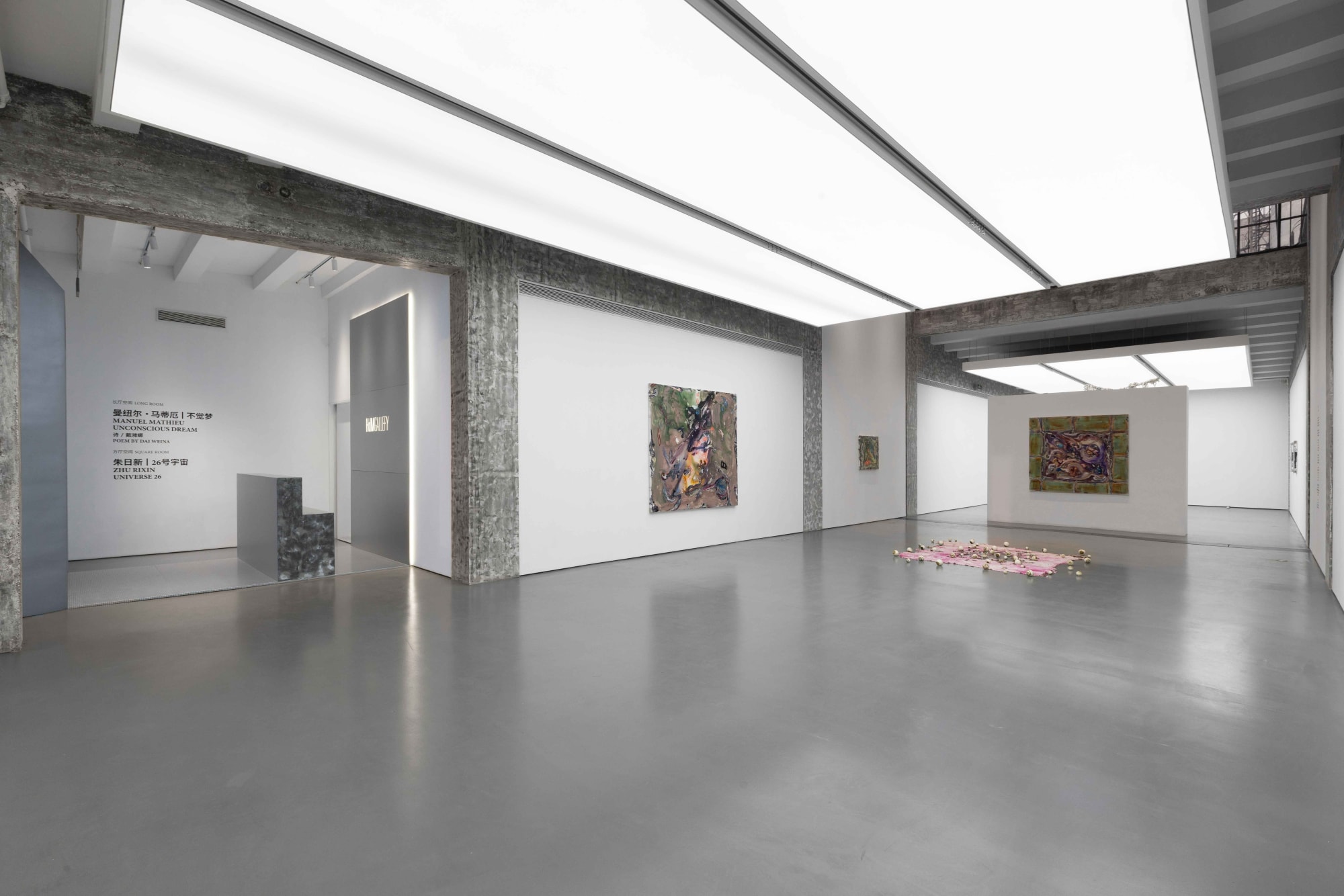 Long Room: Manuel Mathieu | Unconscious Dream