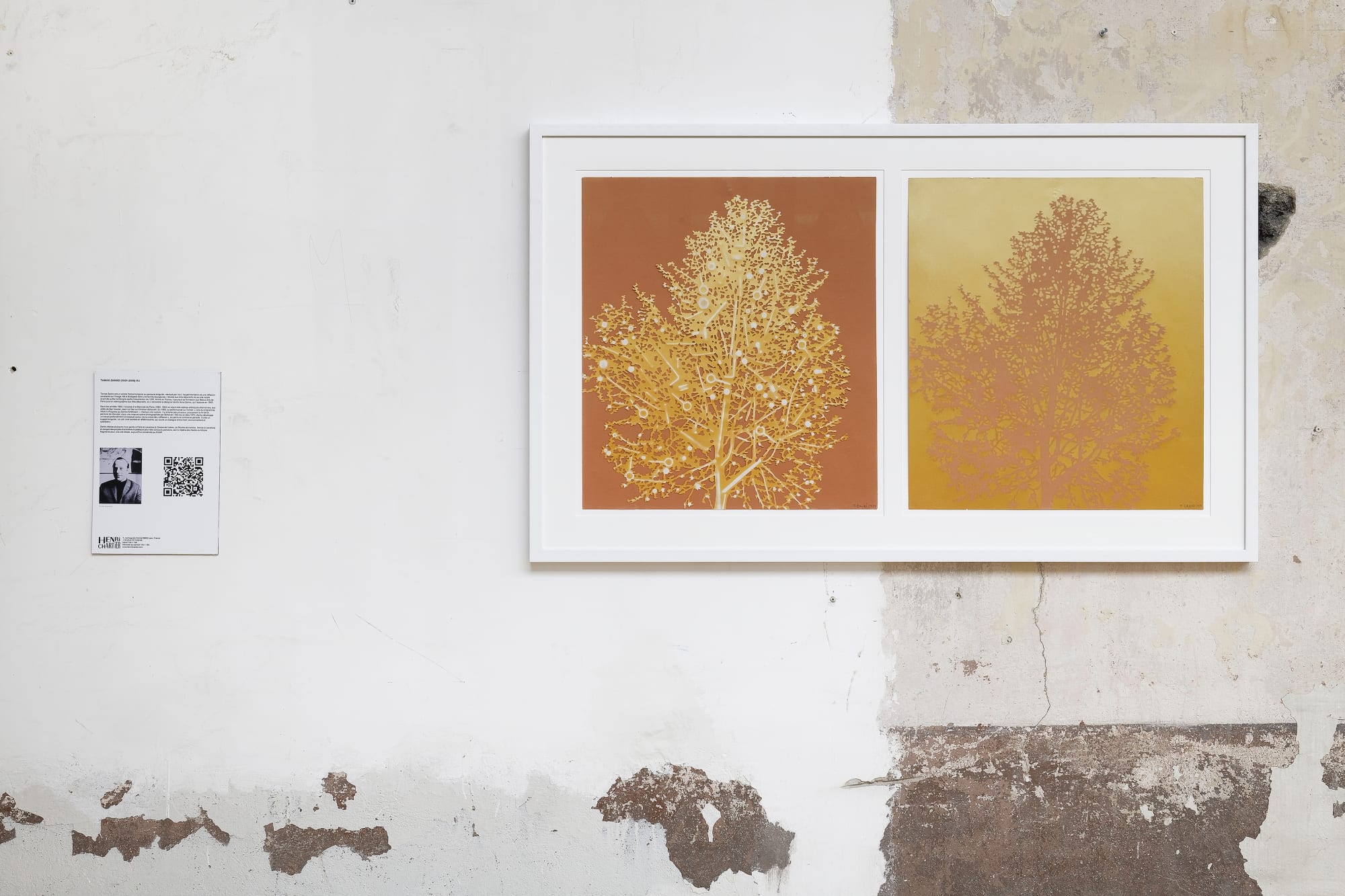 [EXPOSITION PRIVÉE]