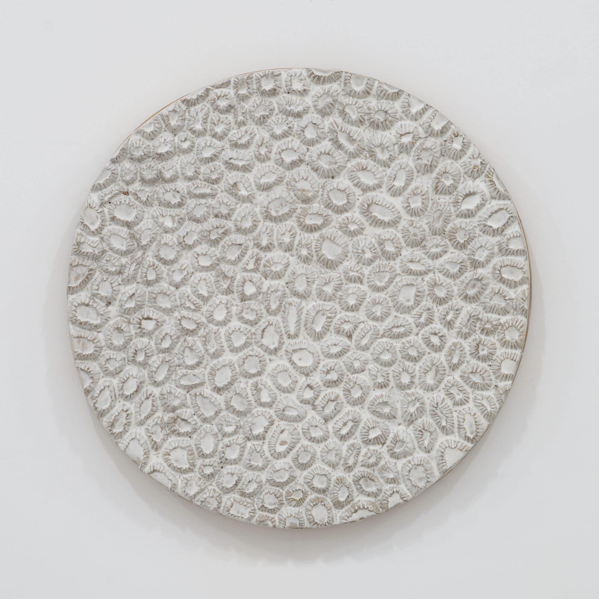 Randi Renate montastraea cavernosa (great star coral) .001L, 2023 Glazed stoneware Diameter: 22 inches (55.88 cm)