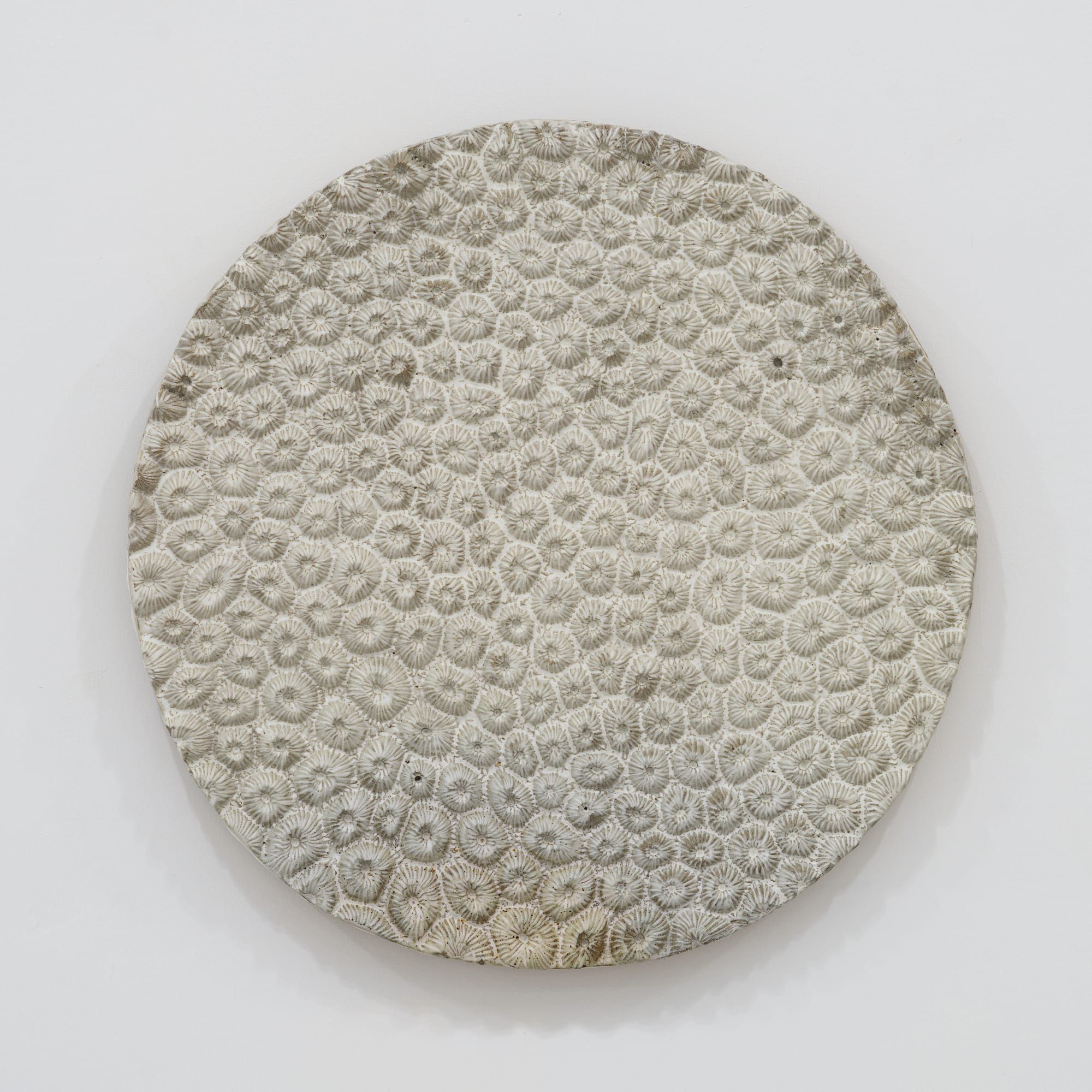 Randi Renate orbicella faveolata (mountainous star coral) .001L, 2023 Glazed stoneware Diameter: 22 inches (55.88 cm)