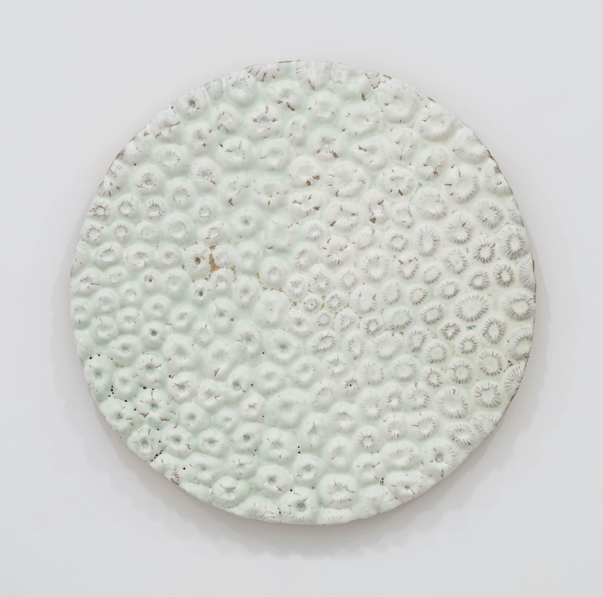 Randi Renate orbicella faveolata (mountainous star coral) .002L, 2024 Glazed stoneware Diameter: 22 inches (55.88 cm)