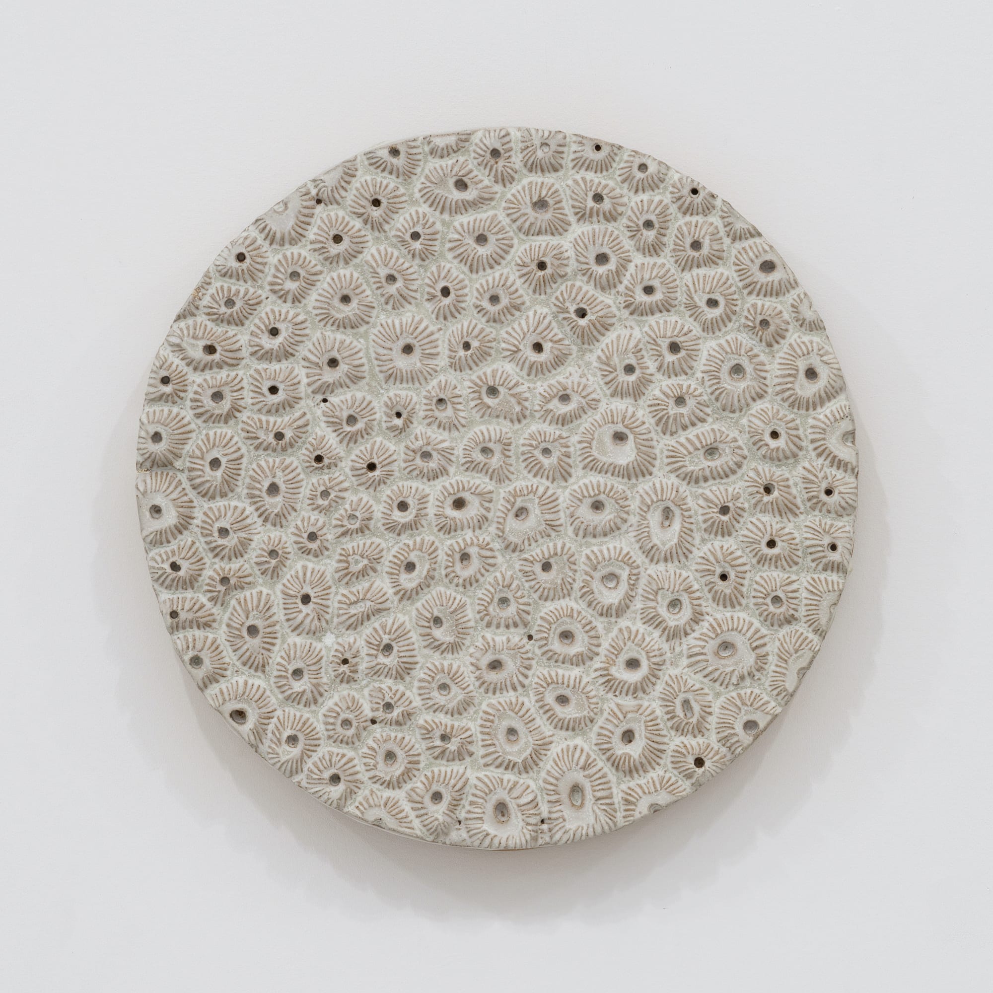 Randi Renate montastraea cavernosa (great star coral) .001, 2023 Glazed stoneware Diameter: 14.5 inches (36.83 cm)