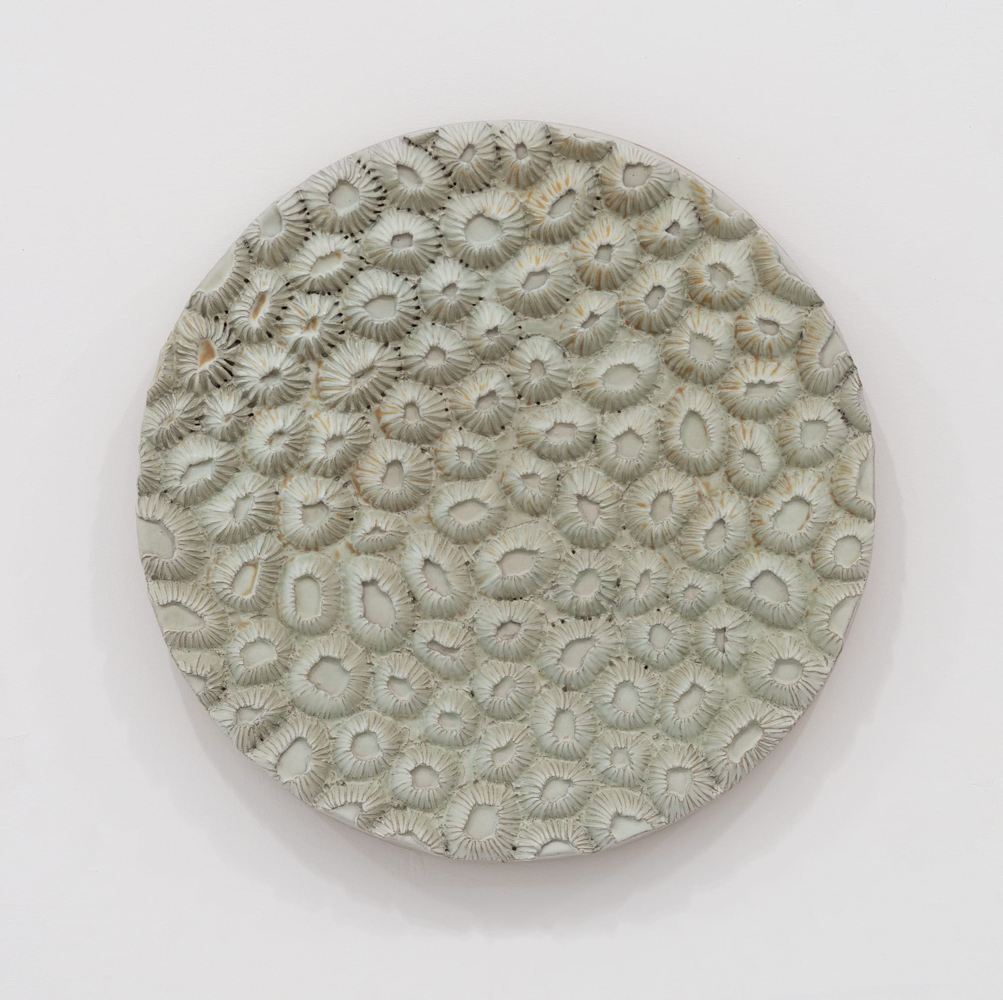 Randi Renate montastraea cavernosa (great star coral) .002, 2024 Glazed stoneware Diameter: 16 inches (40.64 cm)