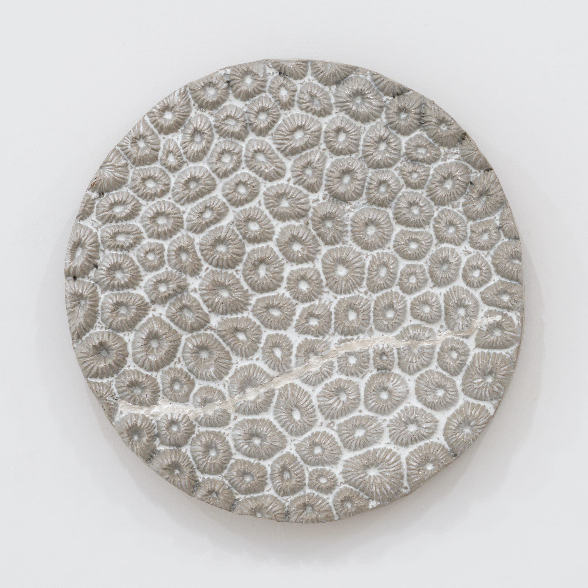 Randi Renate orbicella faveolata (mountainous star coral) .002, 2024 Glazed stoneware, epoxy, silver Diameter: 16 inches (40.64 cm)