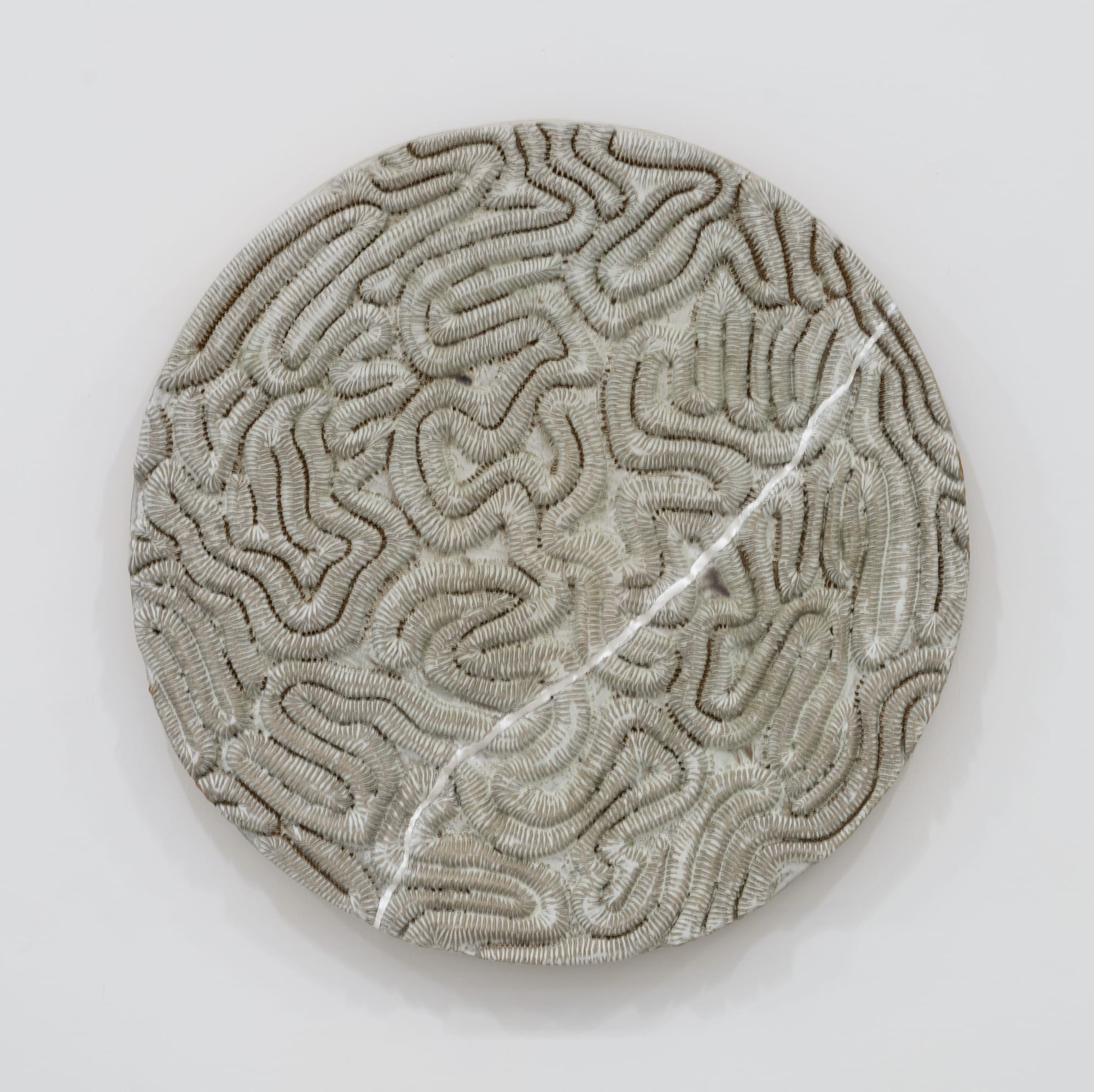 Randi Renate diploria labyrinthiformis (brain coral) .002, 2024 Glazed stoneware, epoxy, silver Diameter: 16 inches (40.64 cm)