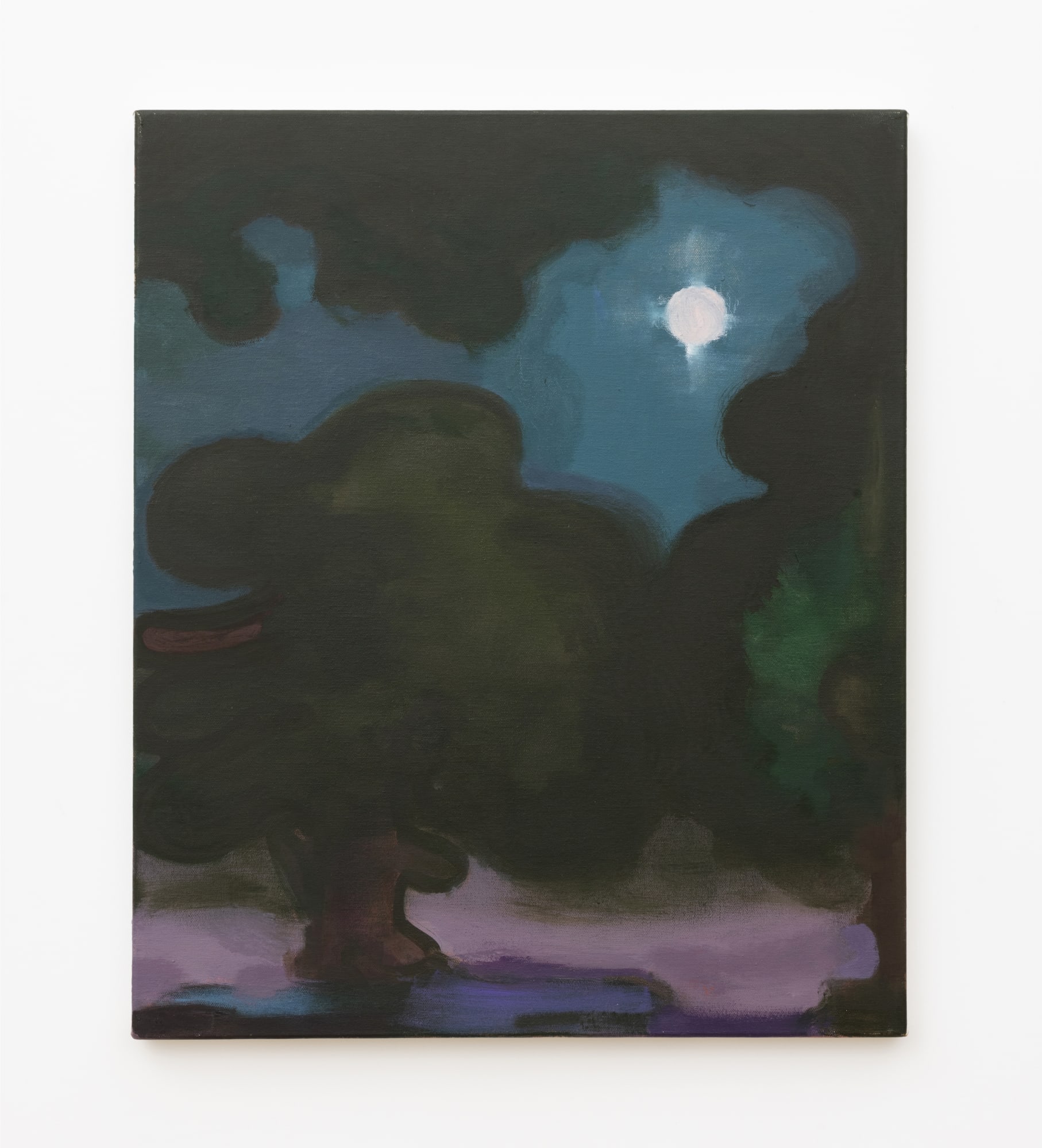 Elizabeth Hazan Field #164, 2024 Oil on canvas 24 x 20 inches 60 x 50 cm