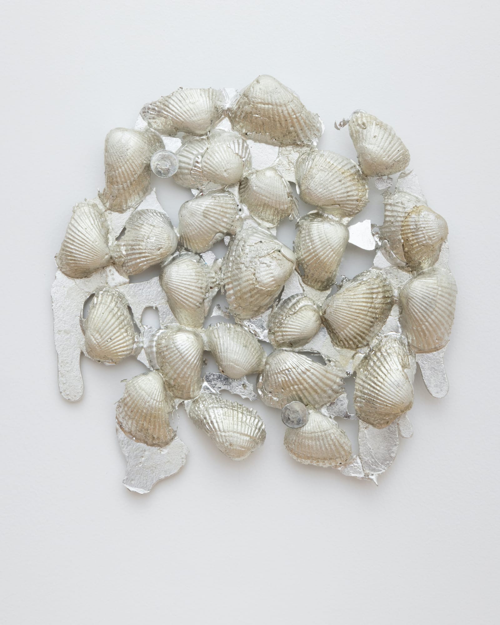 Emma Safir (b. 1990) cockles after Pilassy II, 2025 Pewter 6 X 5.5 x 2 inches 15 x 13 x 5 cm