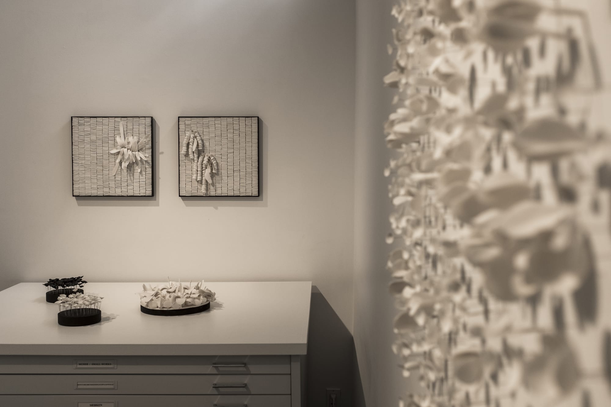 Ferreira & Nascimento: Natural Terrains