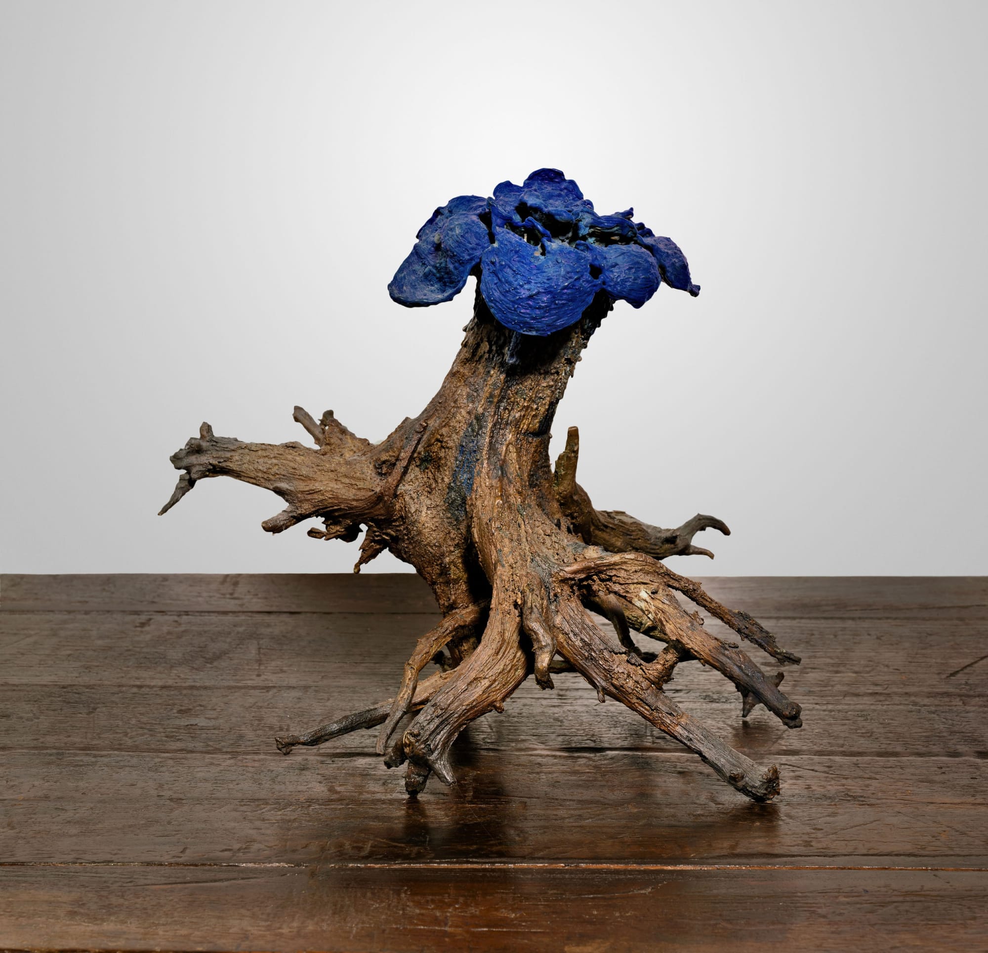 Martin Kline: The World In All Its Plenitude