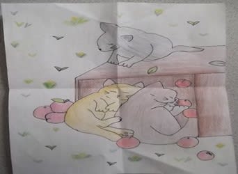 Mehek Ullah Capa, age 11.