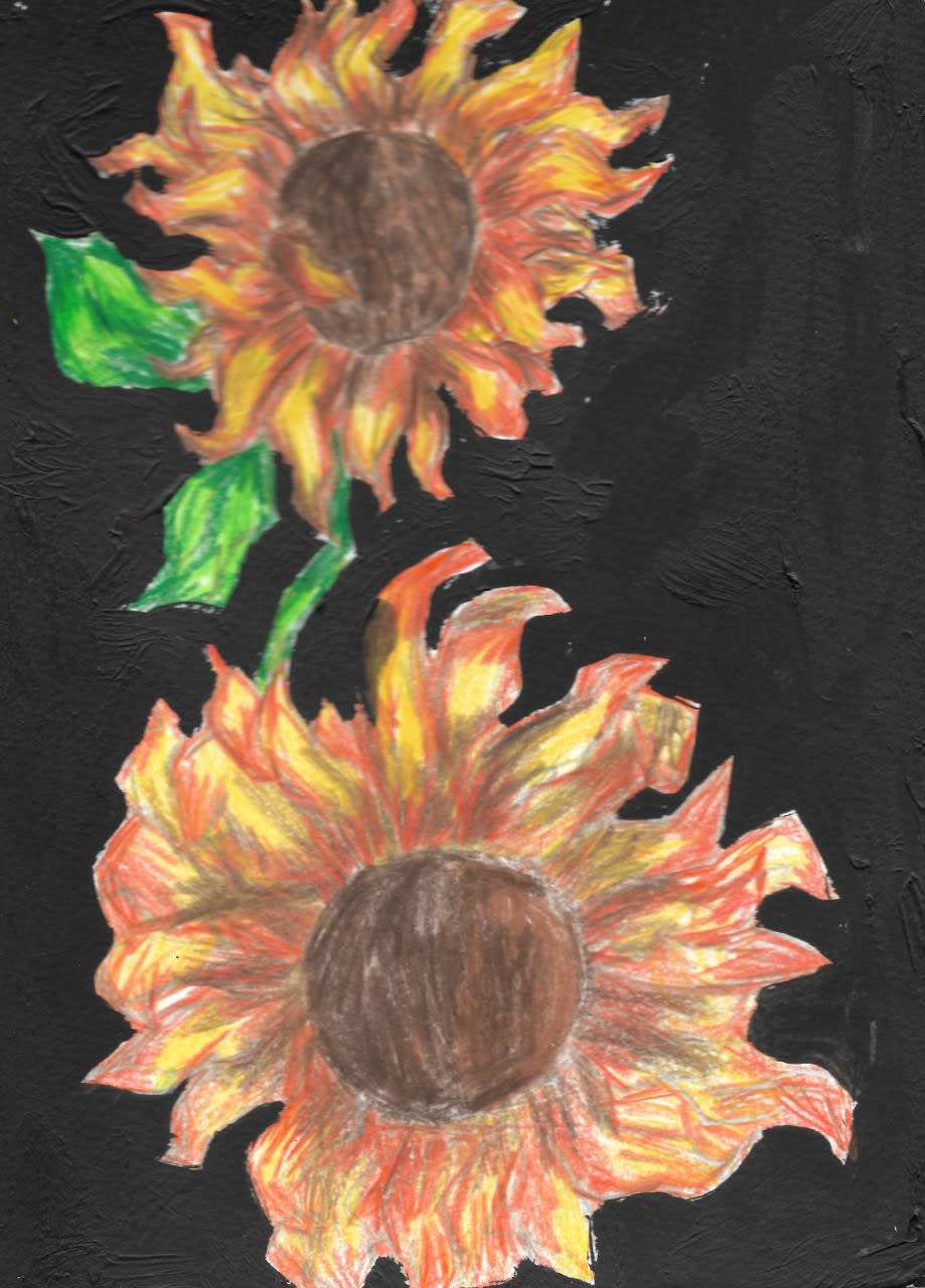 Vedha Athmanathan aged 11. Inspired by David Hockney