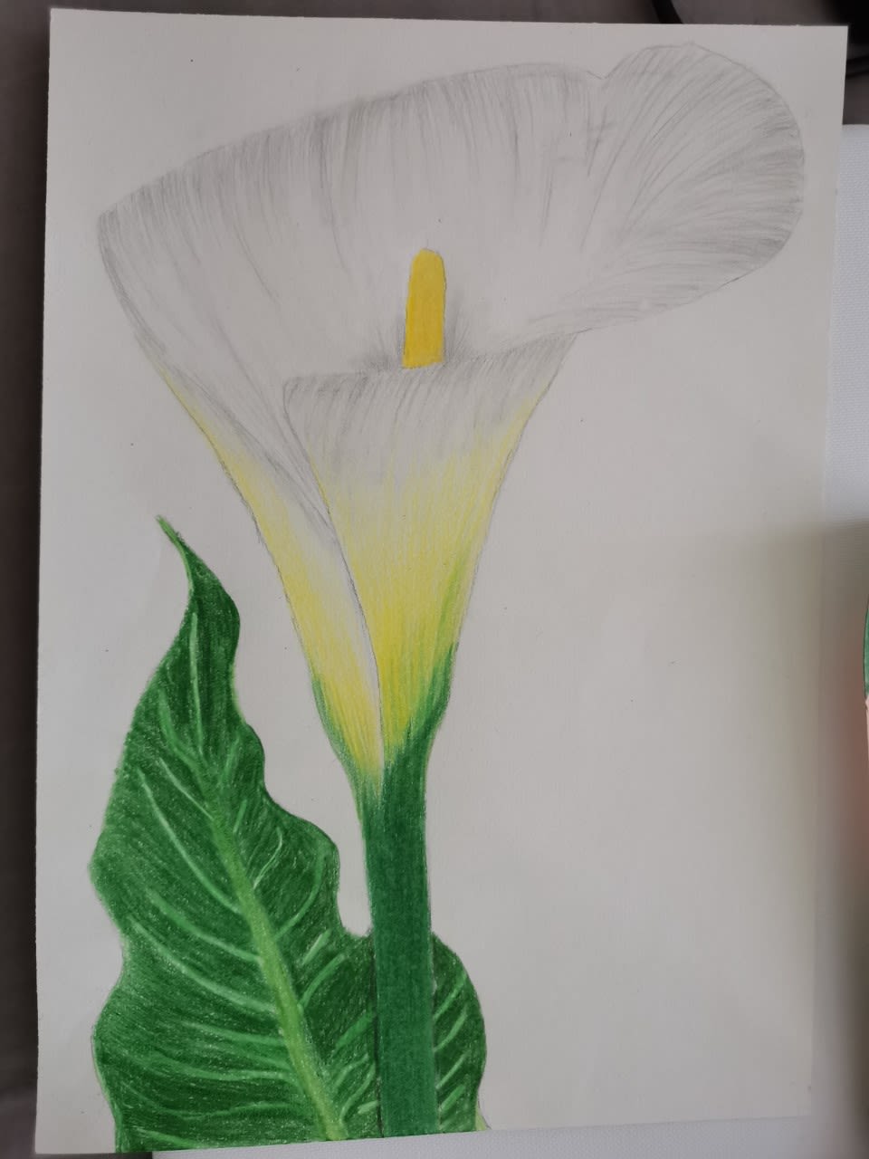 Lilly James, aged 16.