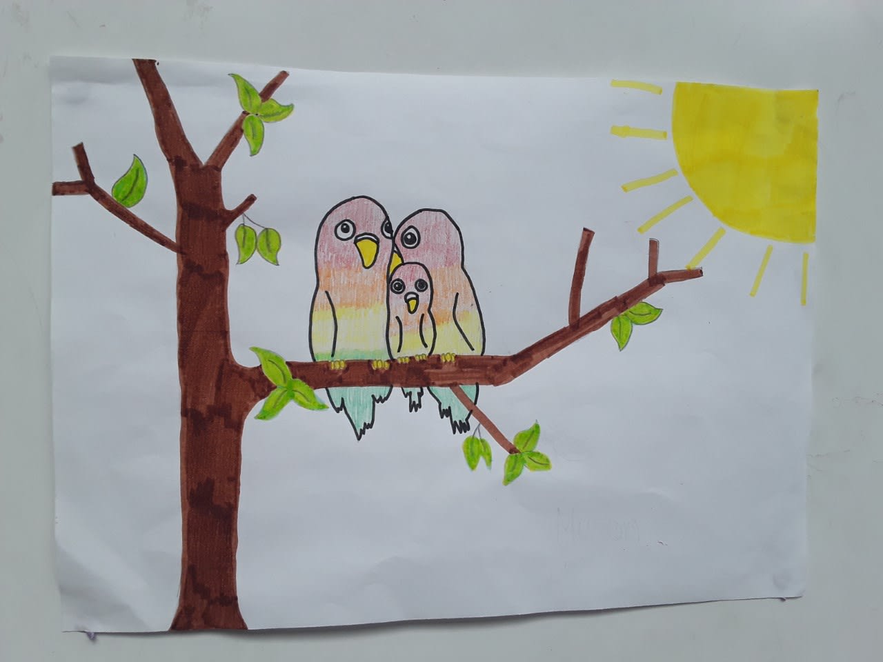 Karim, age :8 Pablo Picassio :La Colombe bleue