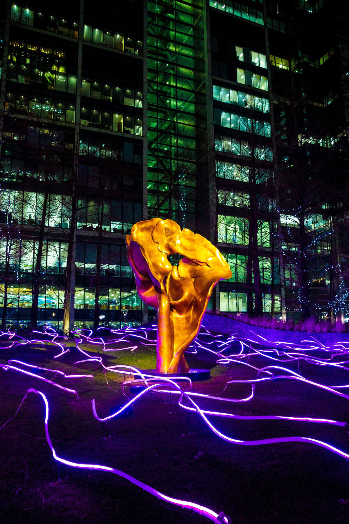 FORTUNA By Helaine Blumenfeld OBE