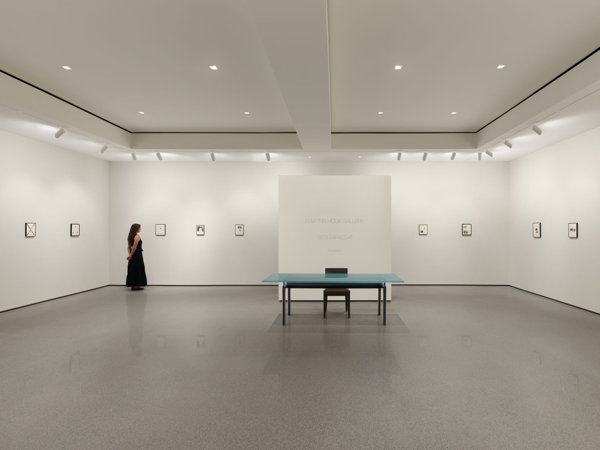 Sissi Farassat: Revelation