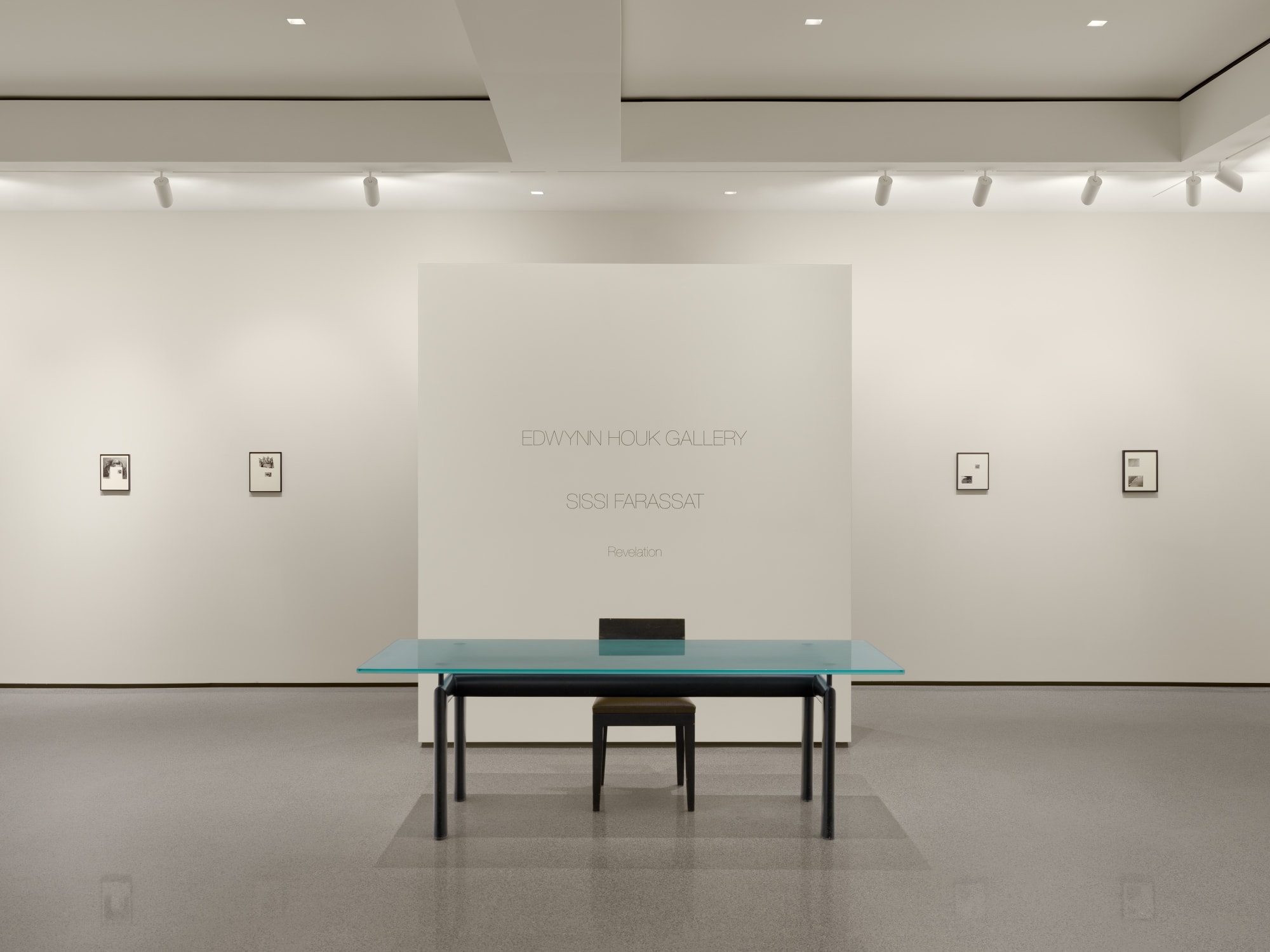 Sissi Farassat: Revelation