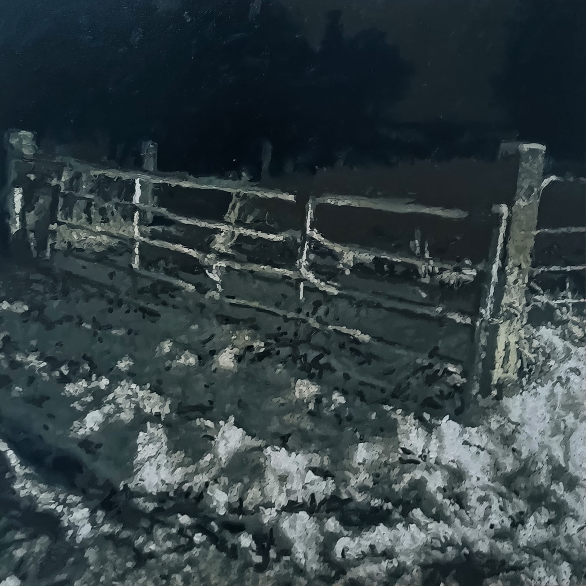 Dirk Eelen, We've been in these Woods 23, 2025