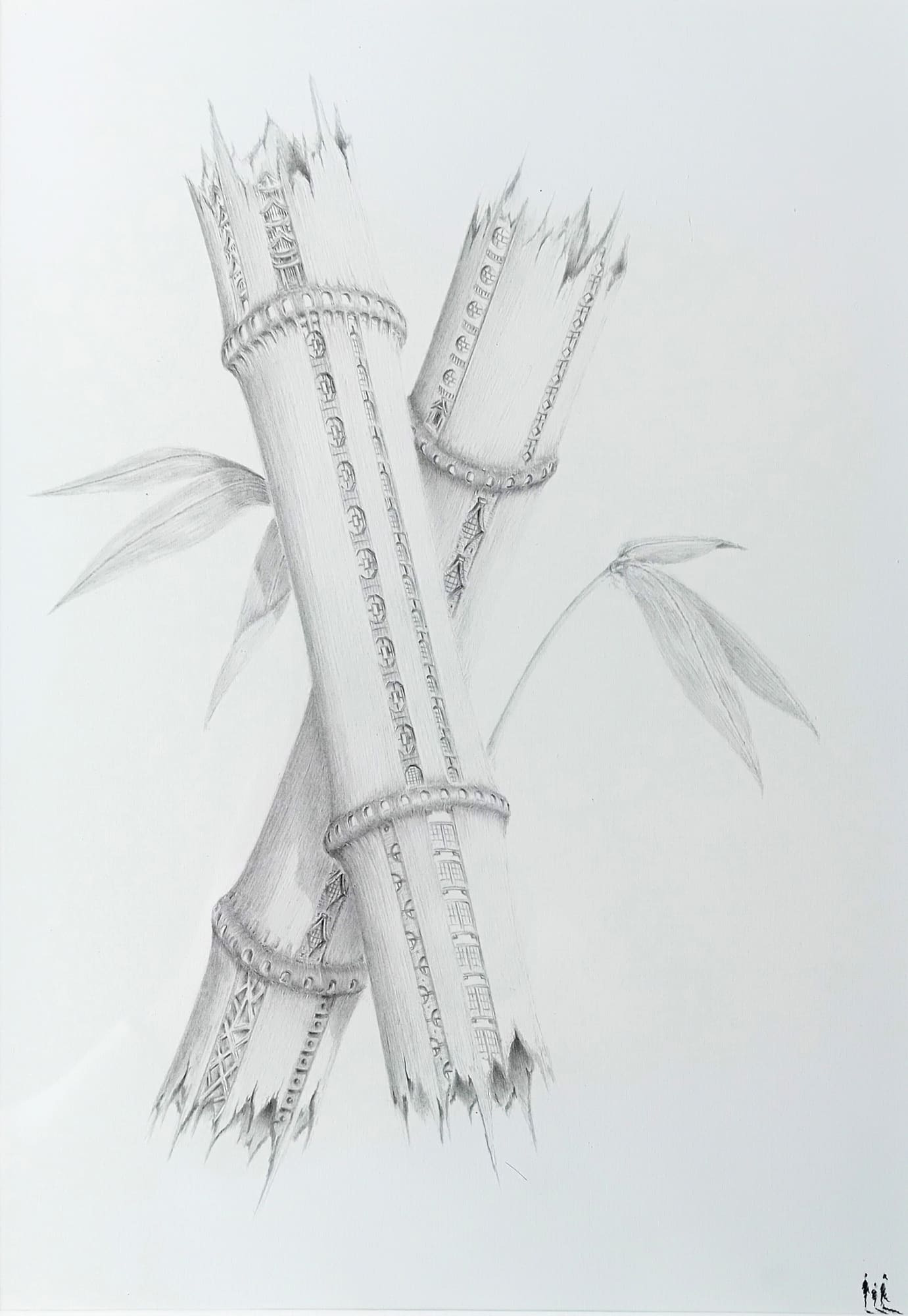 Marc Brousse, Bambou striée, entre deux venelles tokyoites, 2022