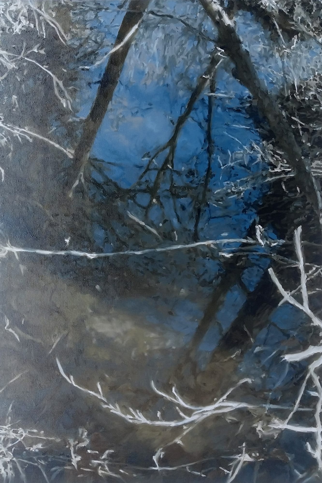 Dirk Eelen, Shallow Waters 13, 2019