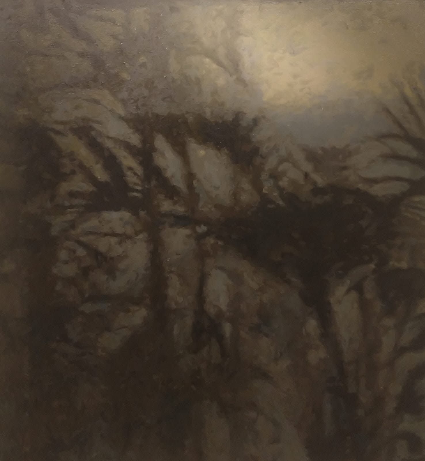 Dirk Eelen, Shallow Reflections 04, 2019