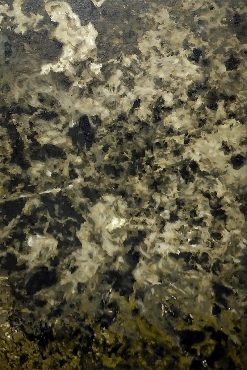 Dirk Eelen, Shallow Waters 8, 2019