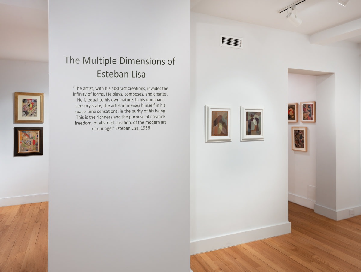 The Multiple Dimensions of Esteban Lisa