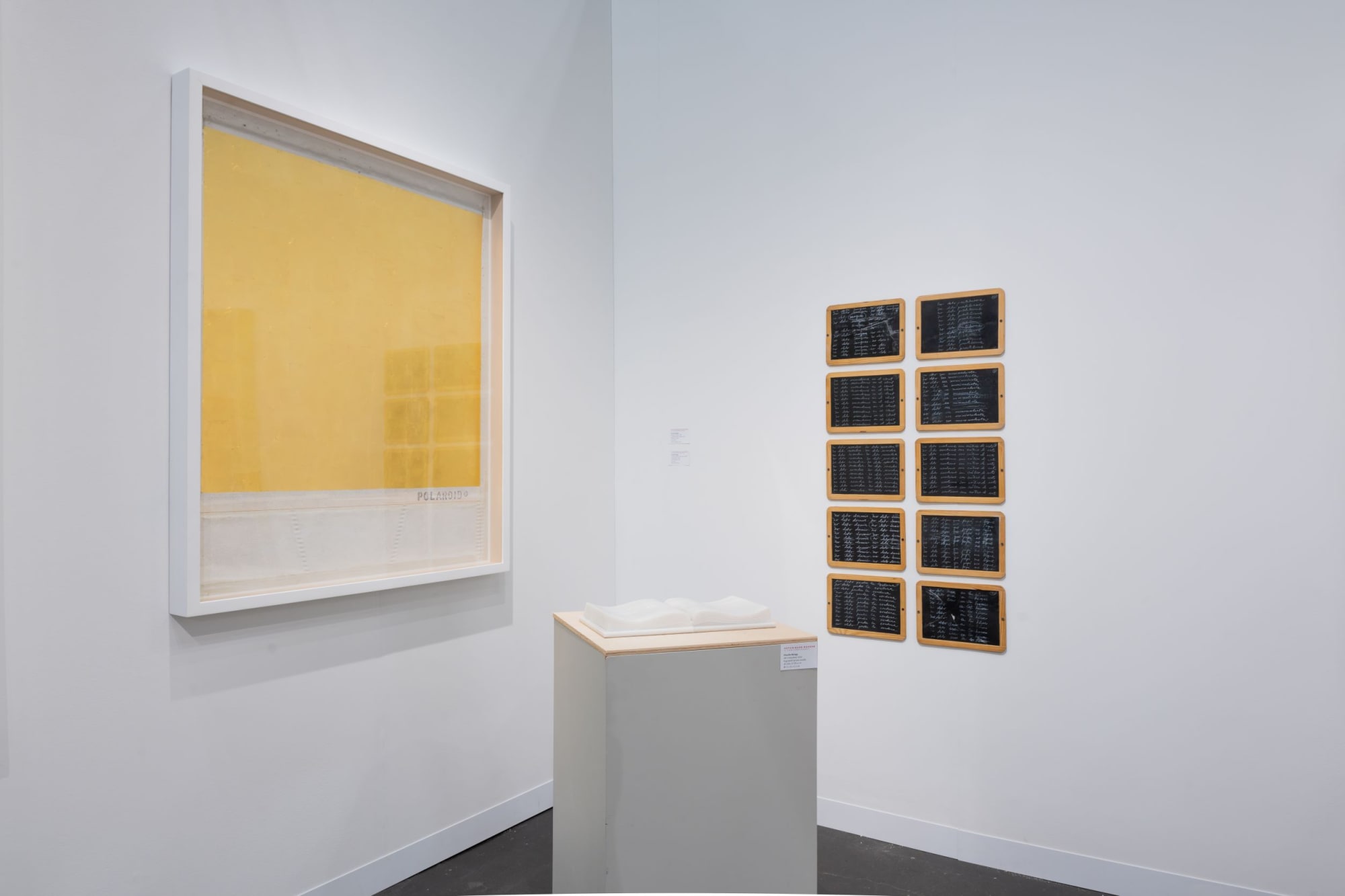 Priscilla Monge at the Armory Show