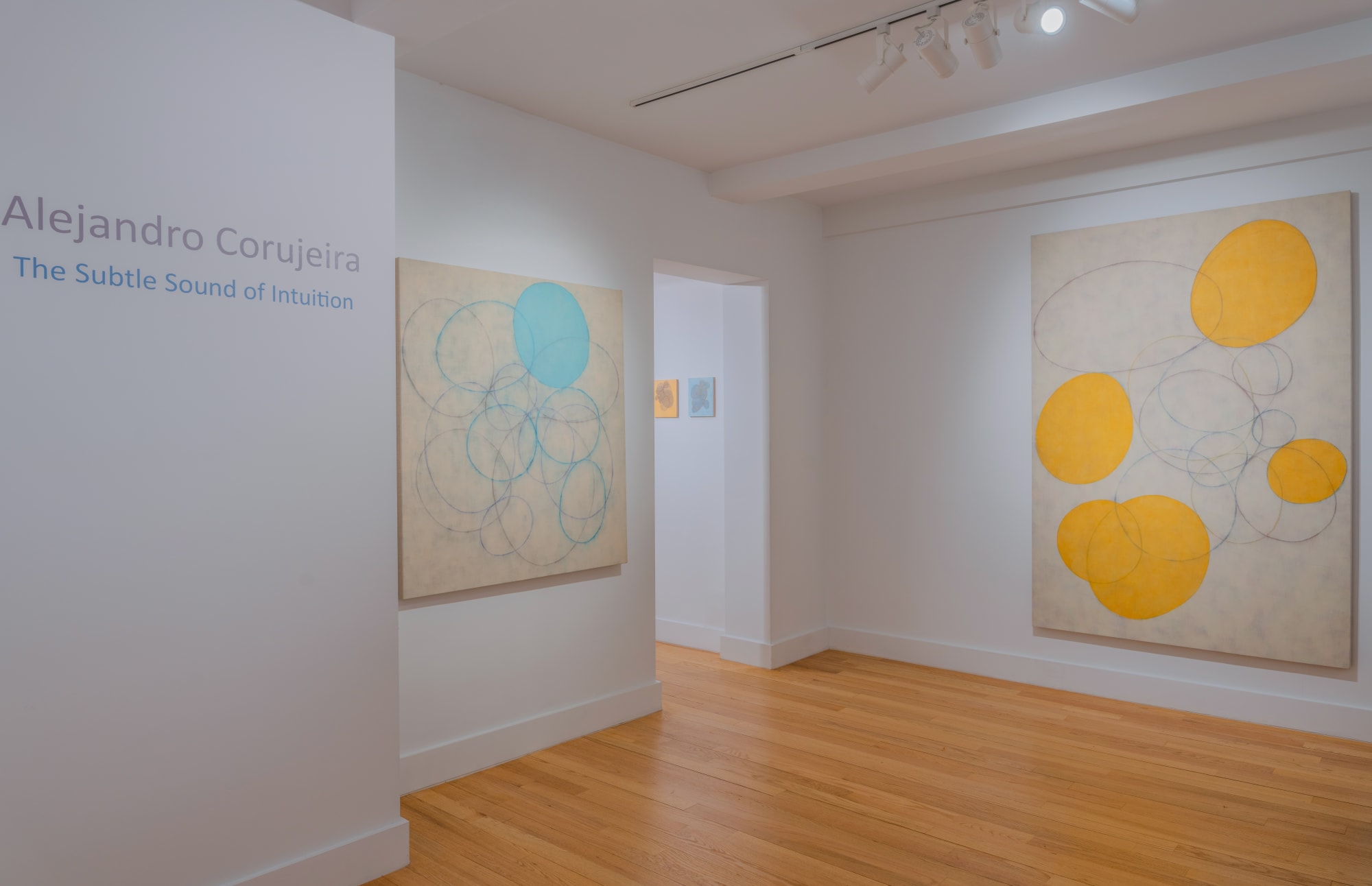 Alejandro Corujeira: The Subtle Sound of Intuition