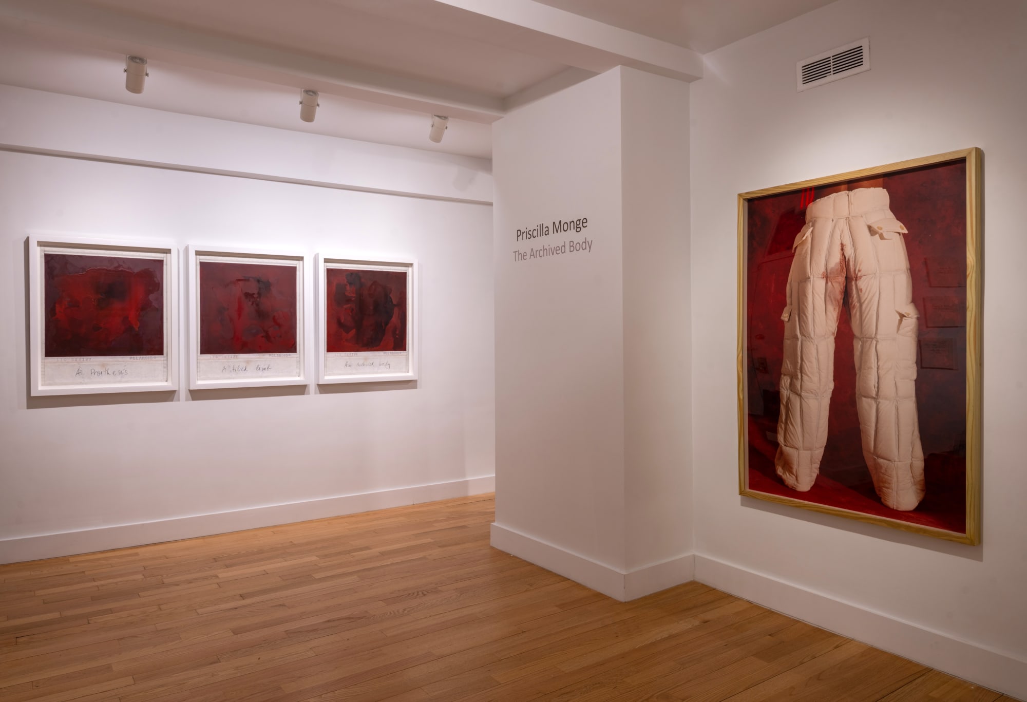 Priscilla Monge: The Archived Body