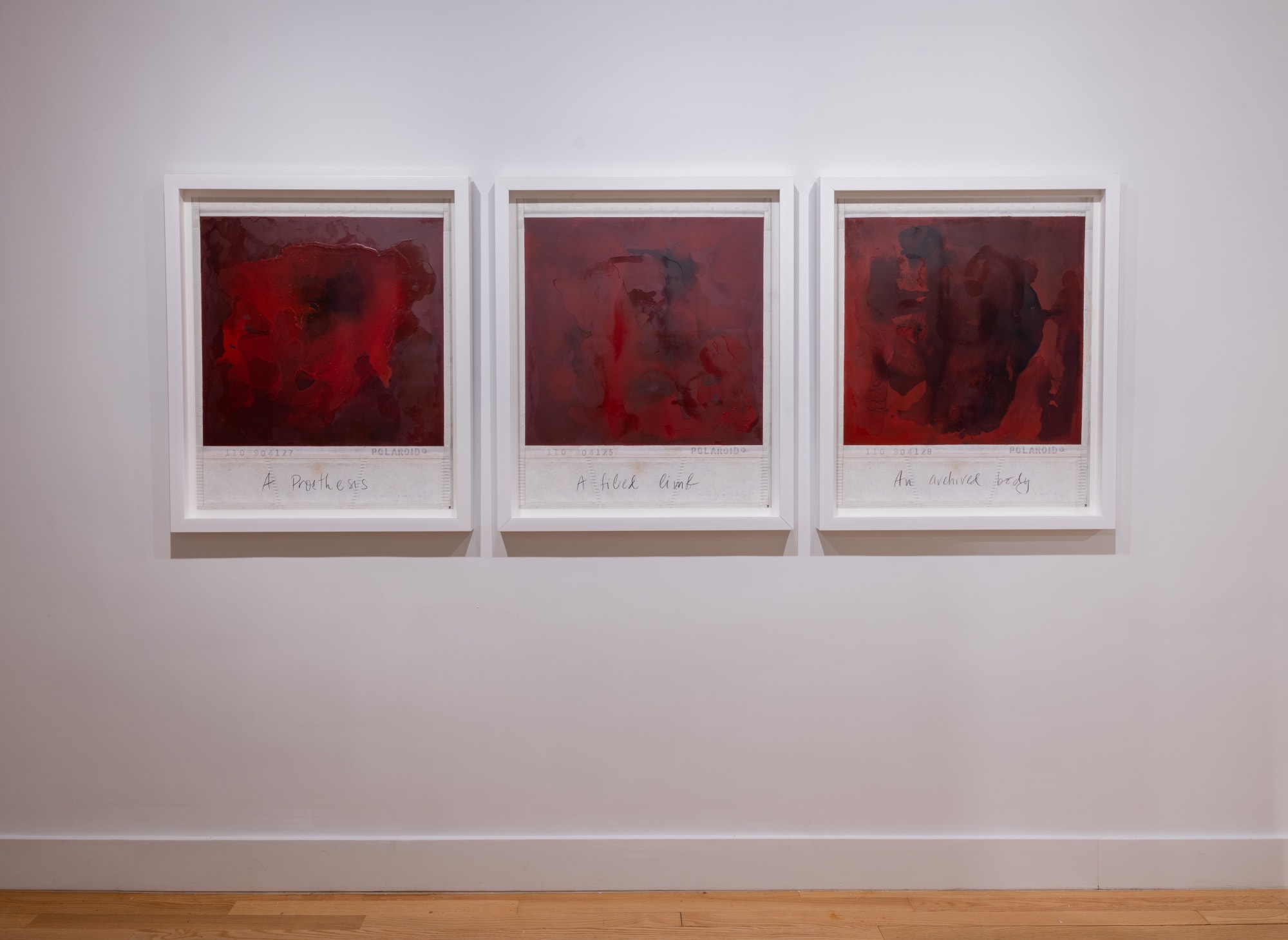 Priscilla Monge: The Archived Body