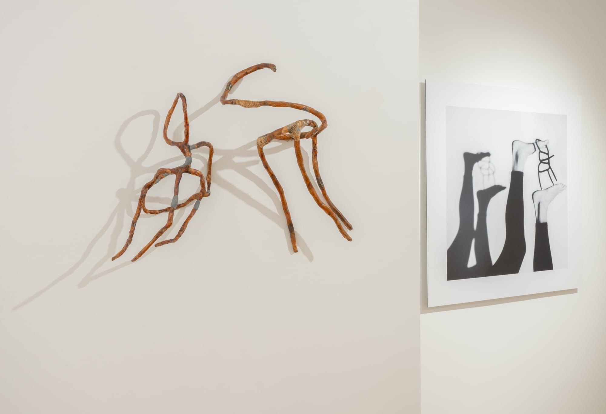 Marcia Grostein: EX • CUR • SIONS