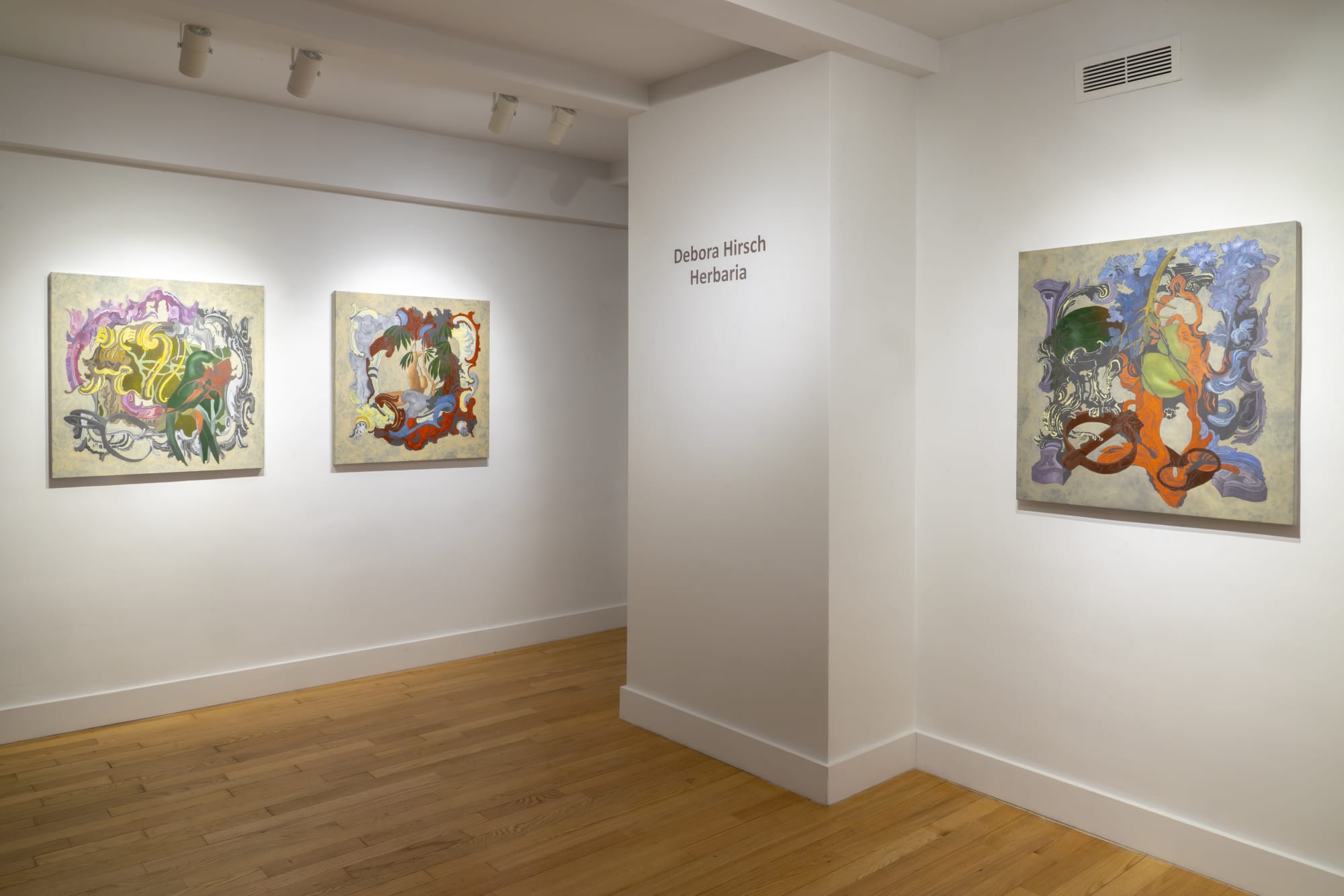 Debora Hirsch: Herbaria