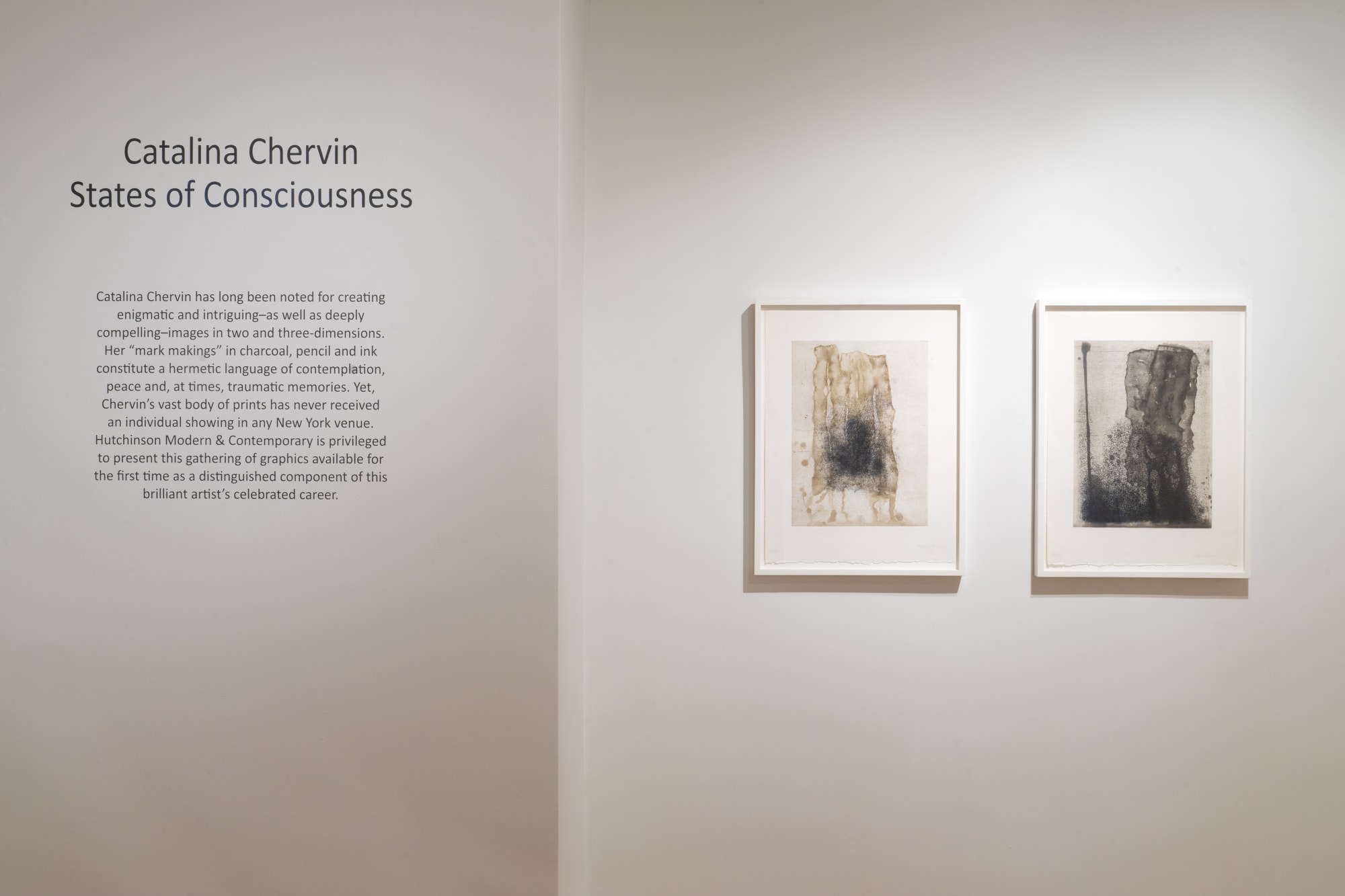 Catalina Chervin: States of Consciousness