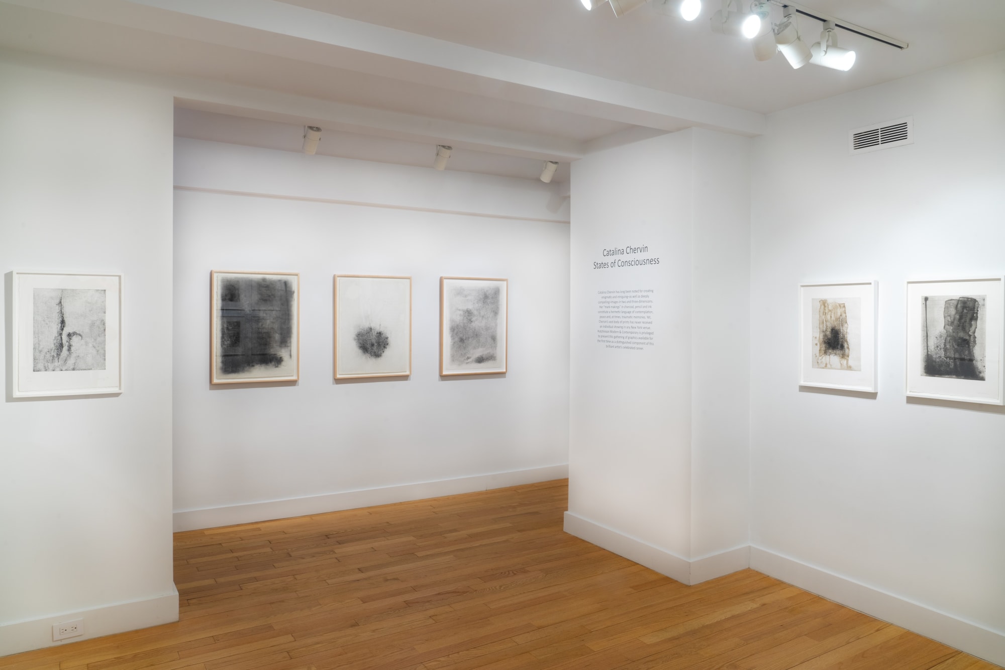 Catalina Chervin: States of Consciousness