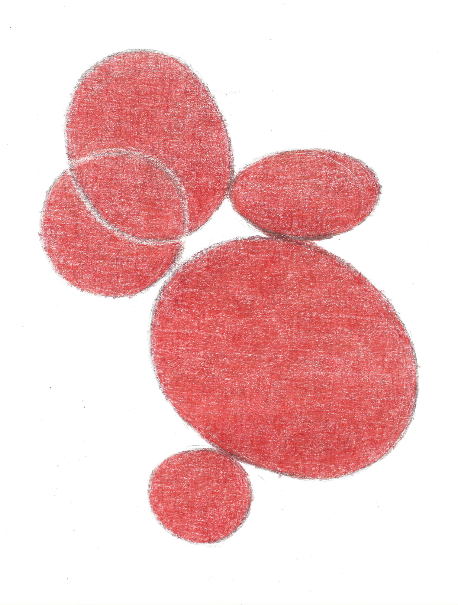 Alejandro Corujeira, Dibujo, 2021