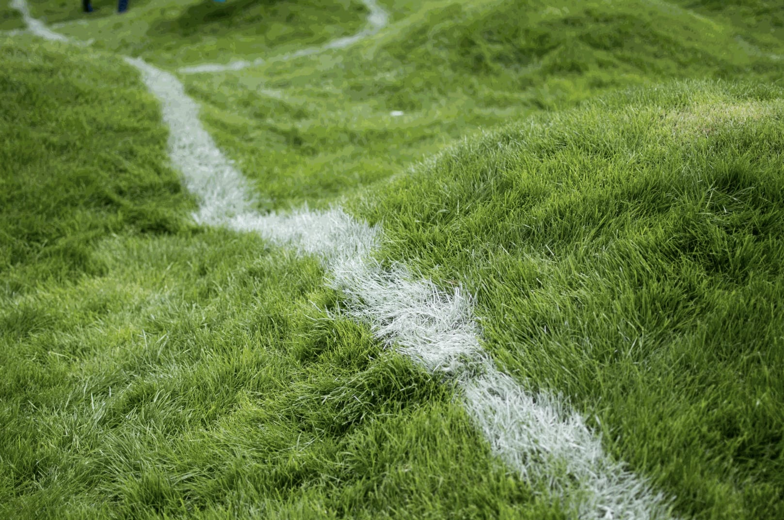 Priscilla Monge, Cancha de fútbol, City Circuit for Contemporary Art